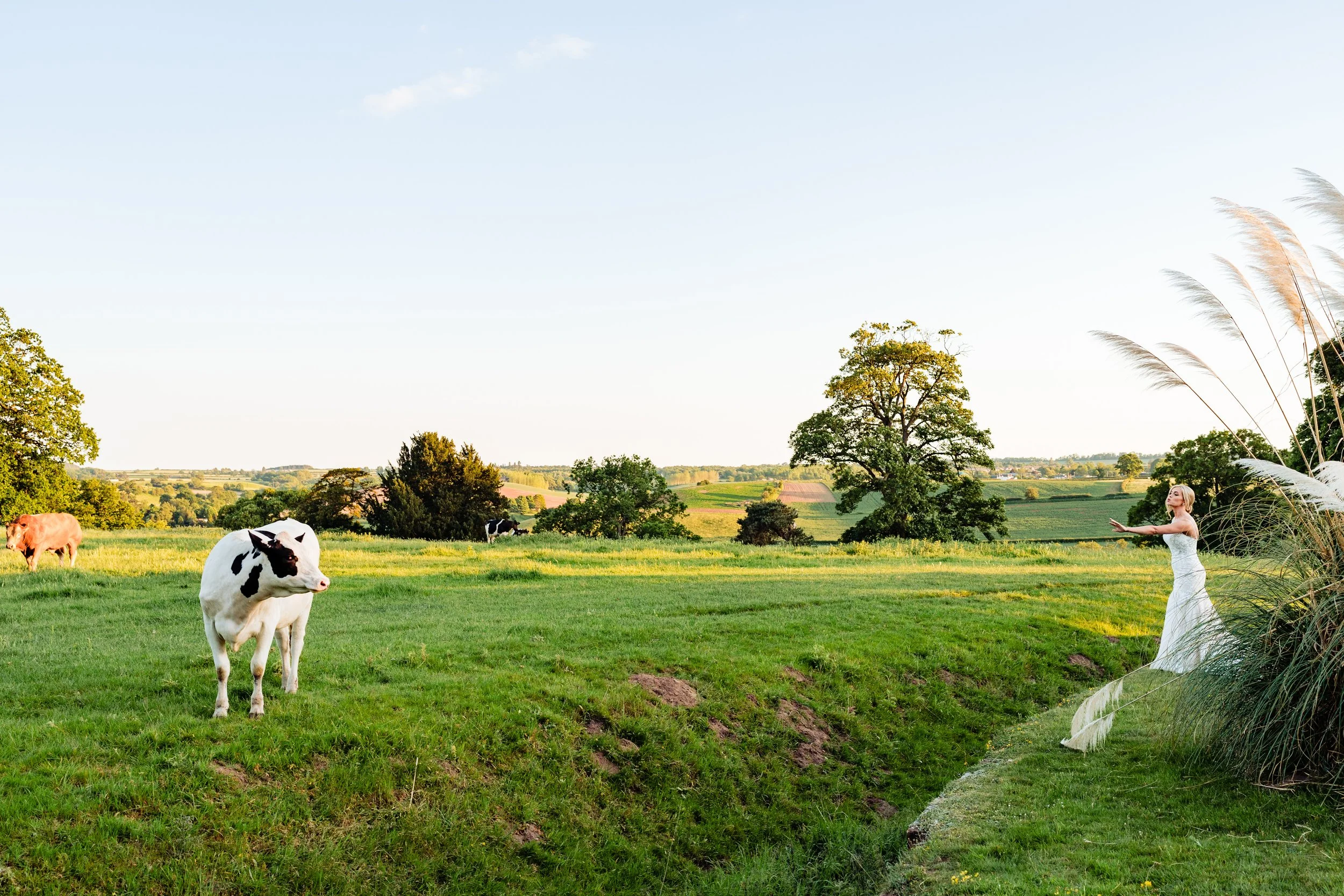 Davenport House Wedding - Jack-Katie - Andy Li Photography-2.jpg