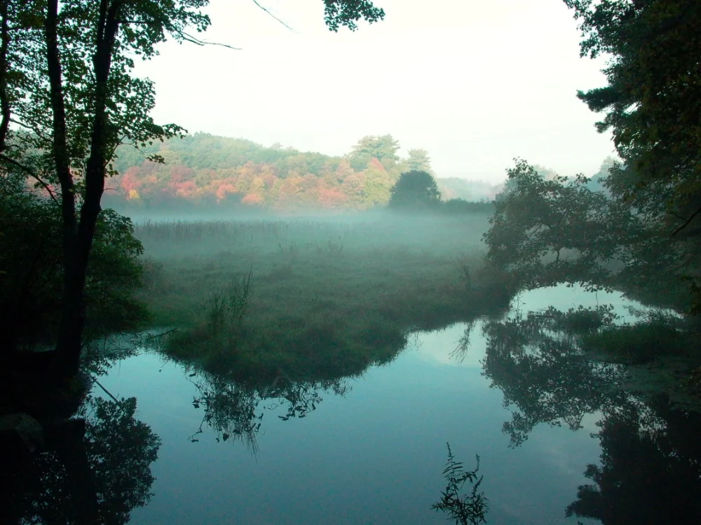 Haynes Meadow - Hop Brook Autumn
