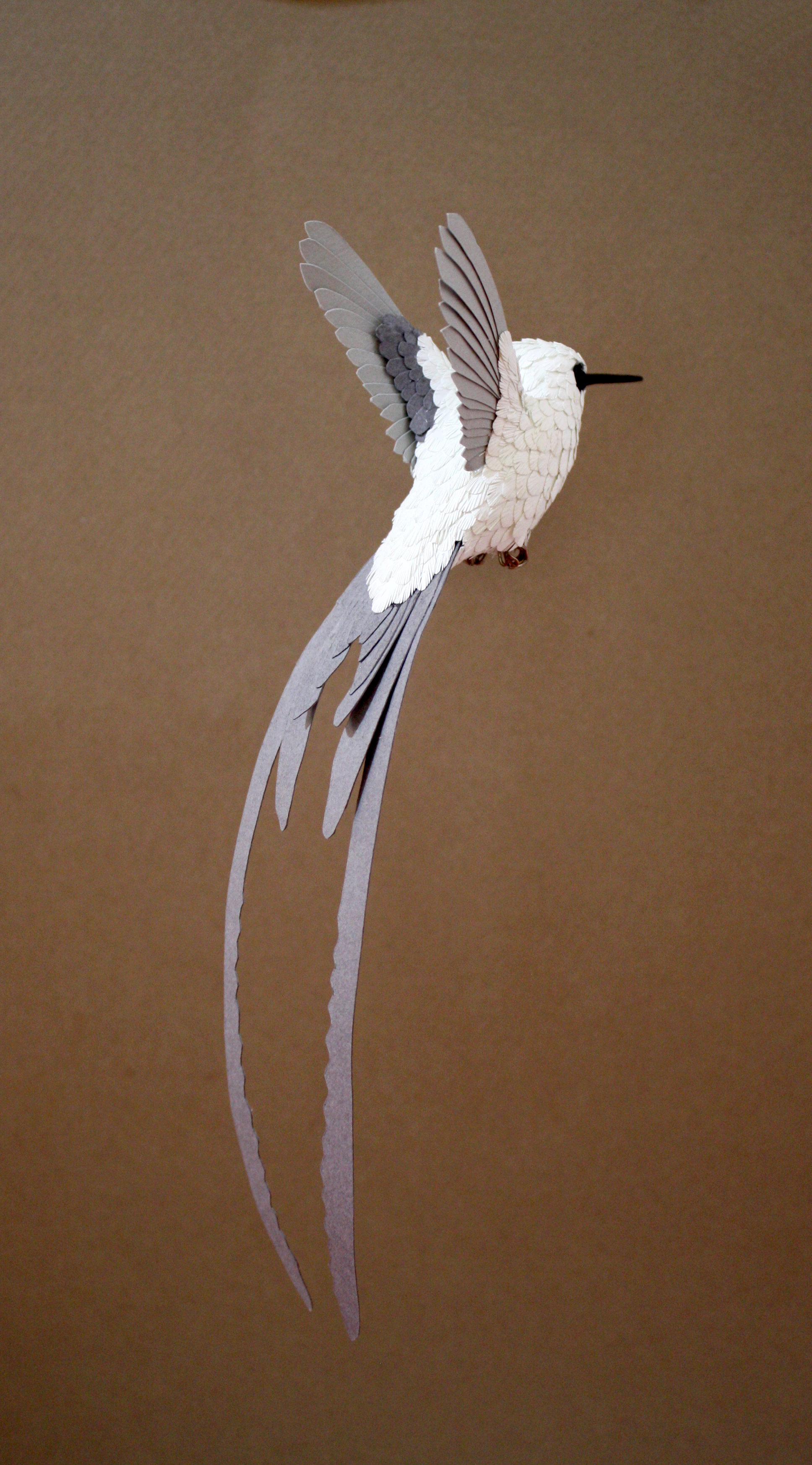 Hummingbird in progress.jpg