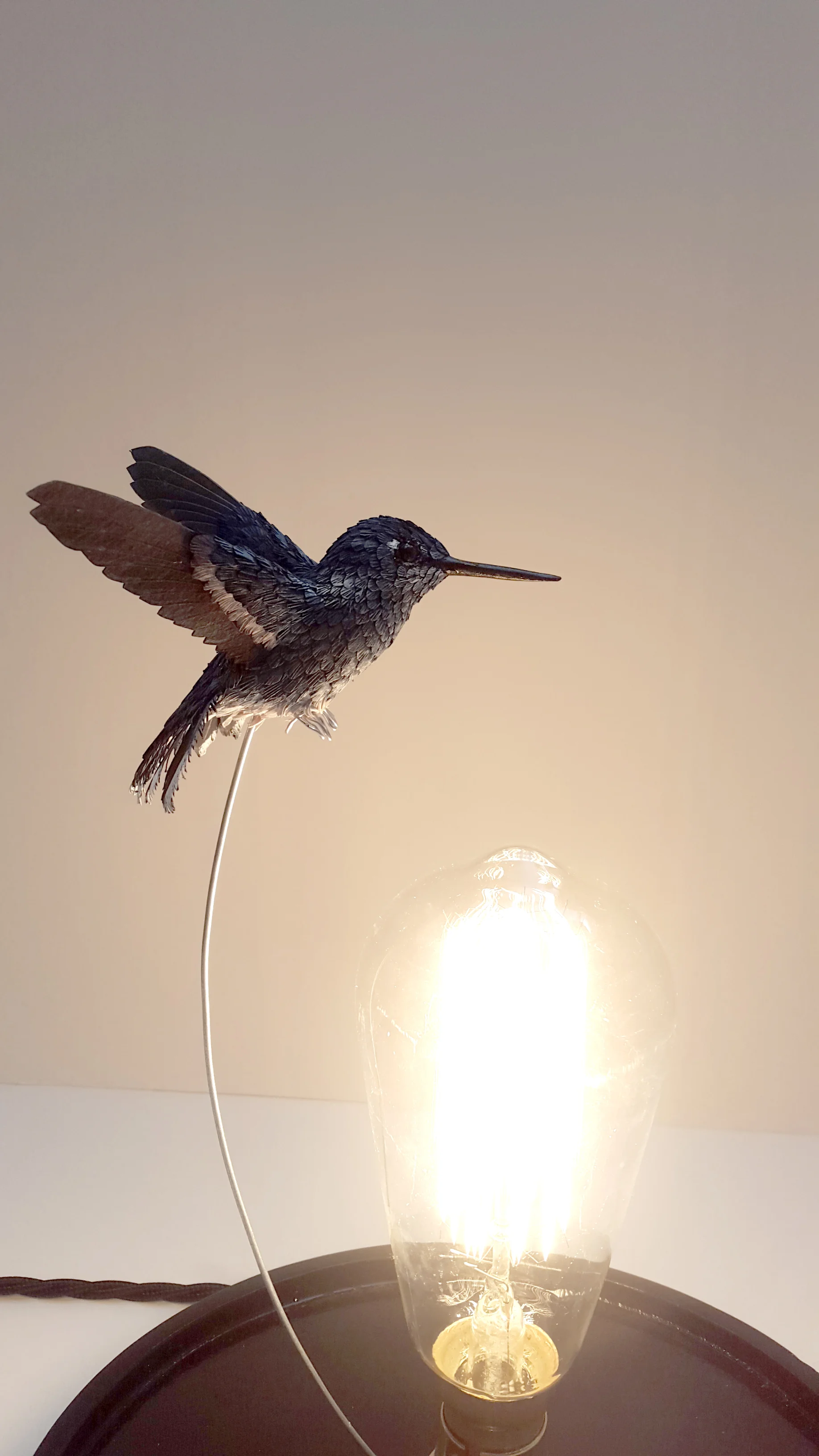hummingbird light4.jpg