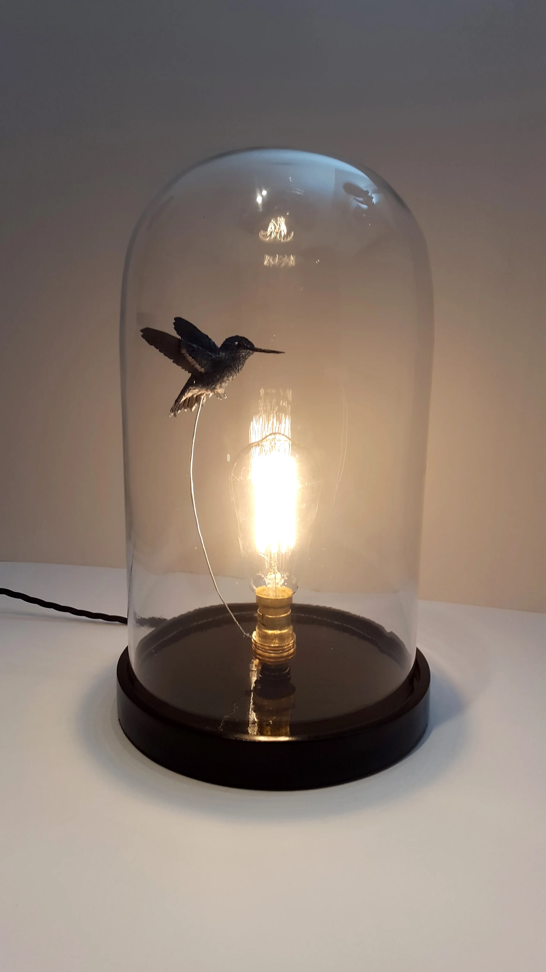 hummingbird light.jpg