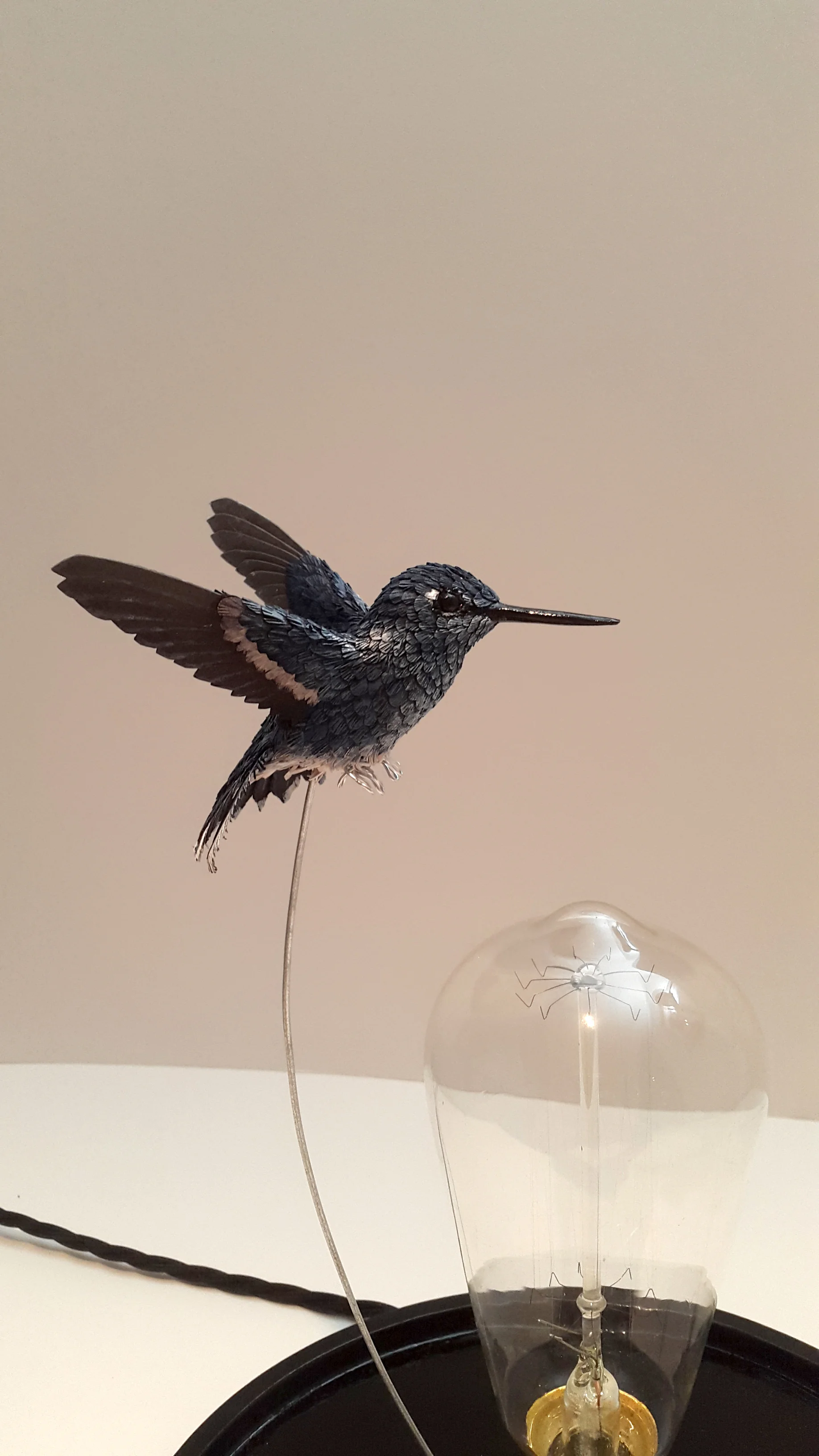 Paper and wood hummingbird in Bell jar with light