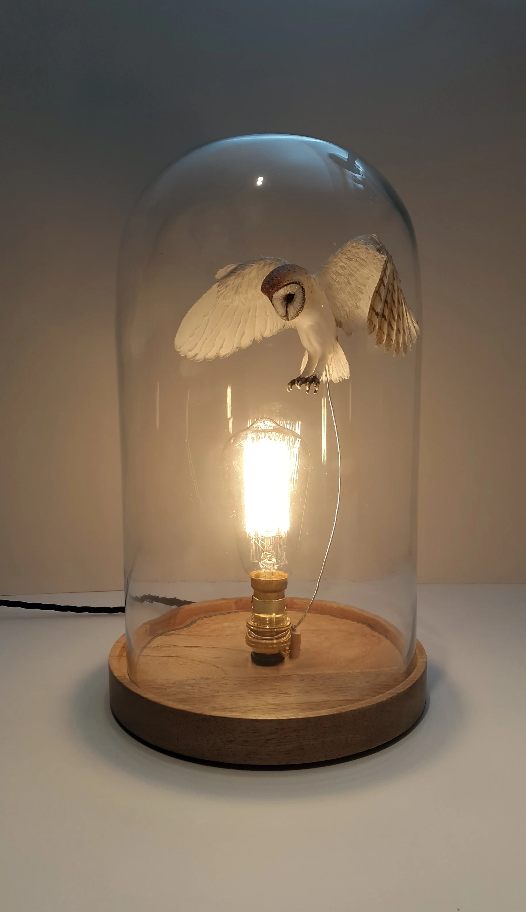 Paper and wood Barn owl in bell jar (wooden base)