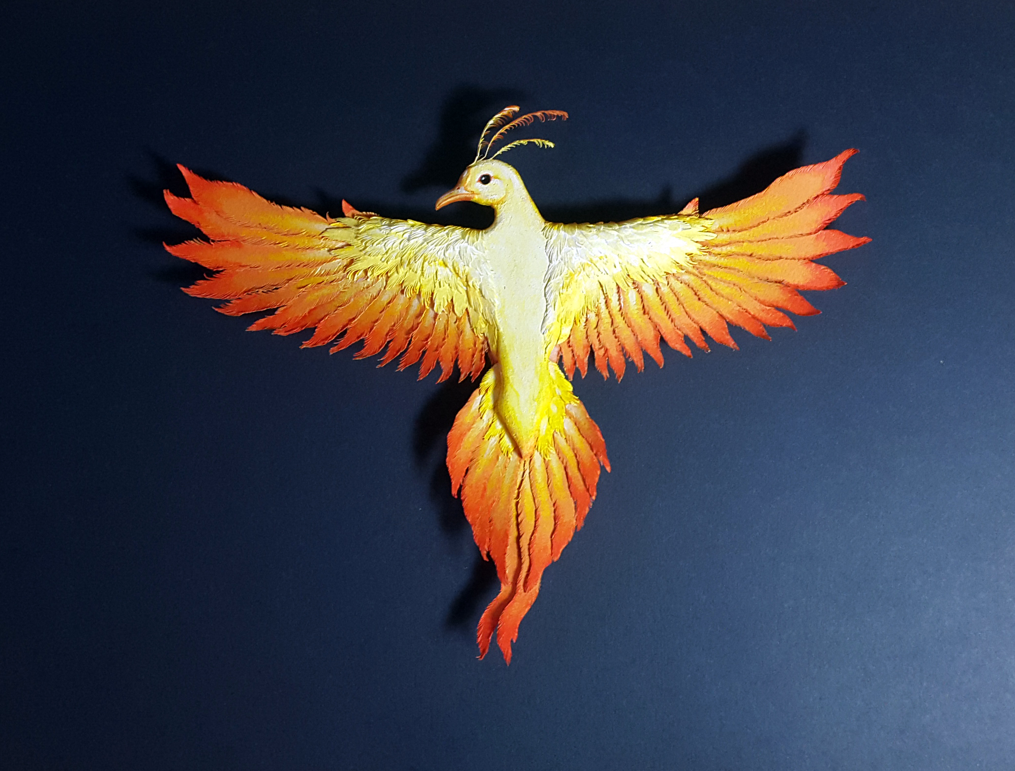 phoenix1.jpg