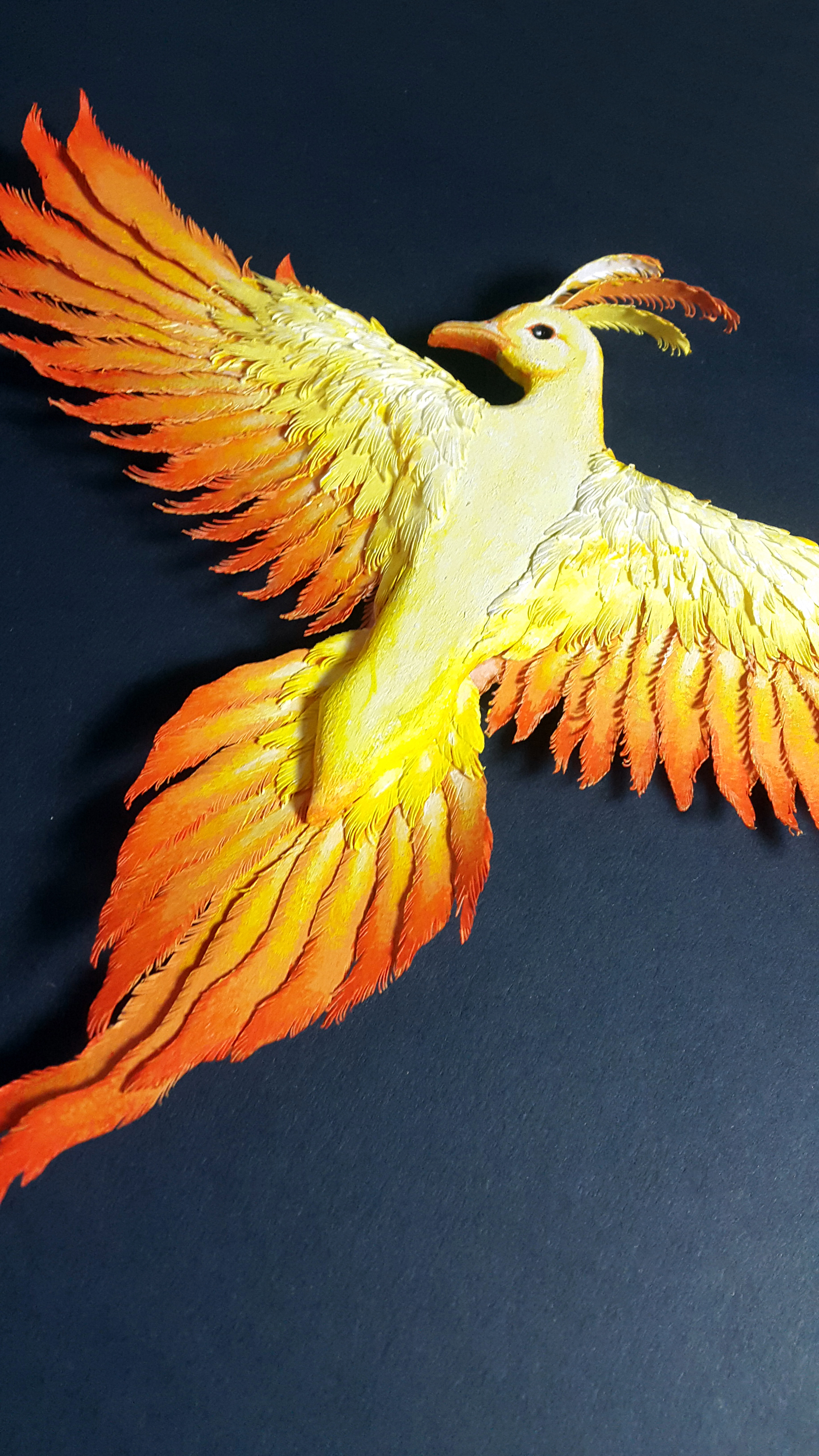 Phoenix6.jpg