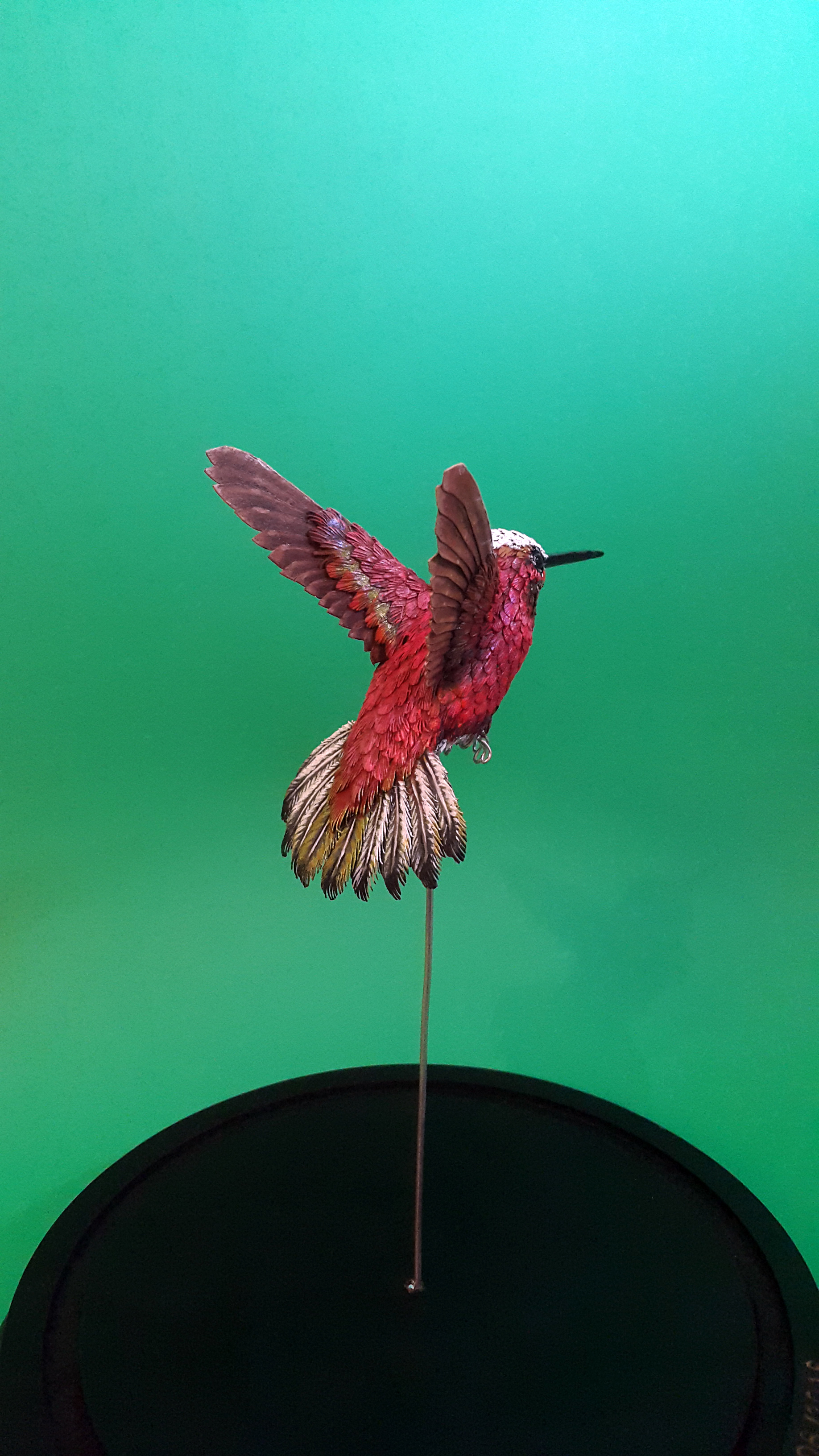 red hummer in bell jar1.jpg