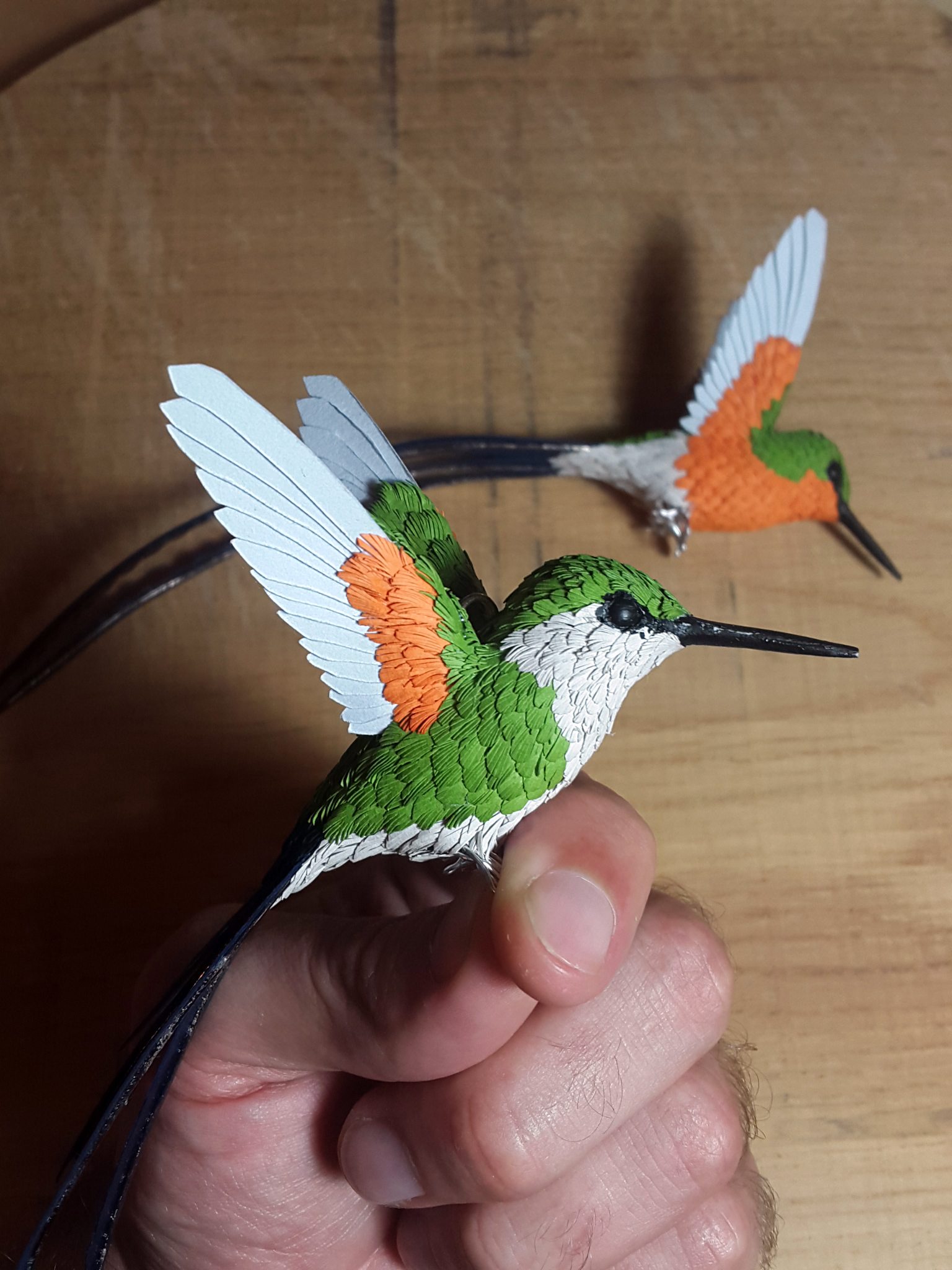 hummingbird9.jpg