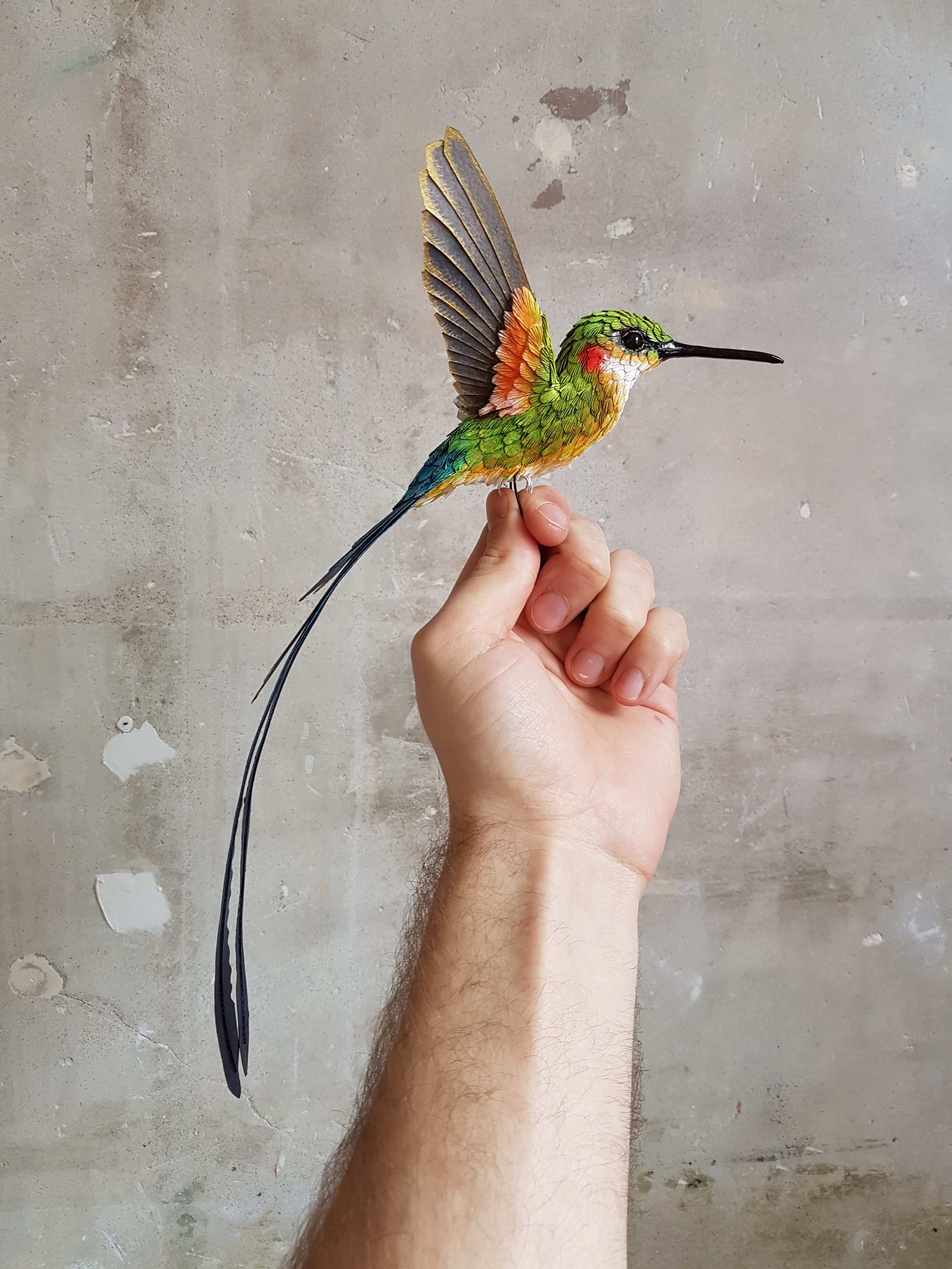 Large hummingbird.jpg