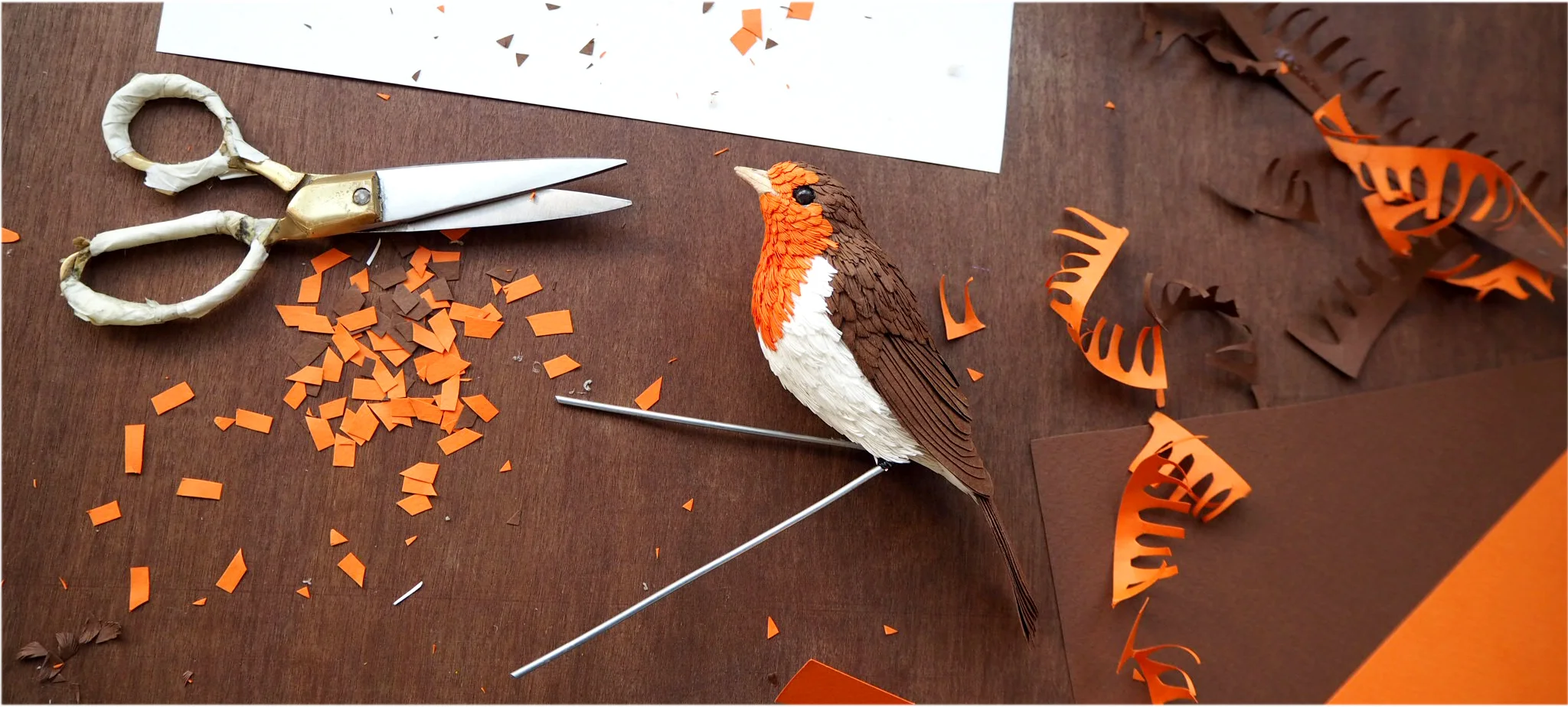 paper robin banner.jpg