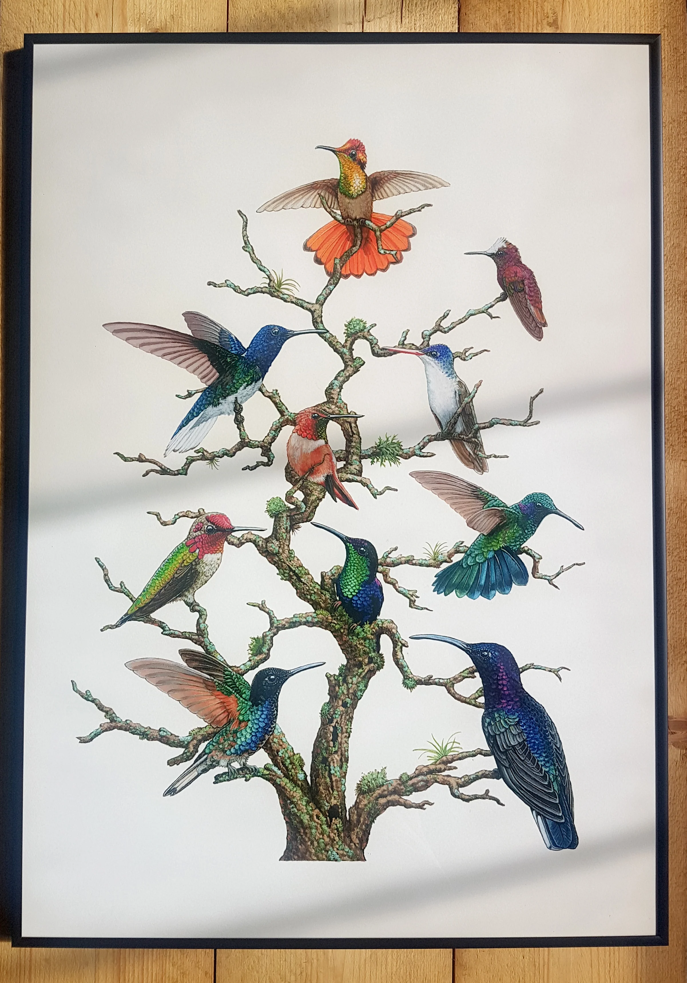 Framed limited edition 'Hummingbird tree' print