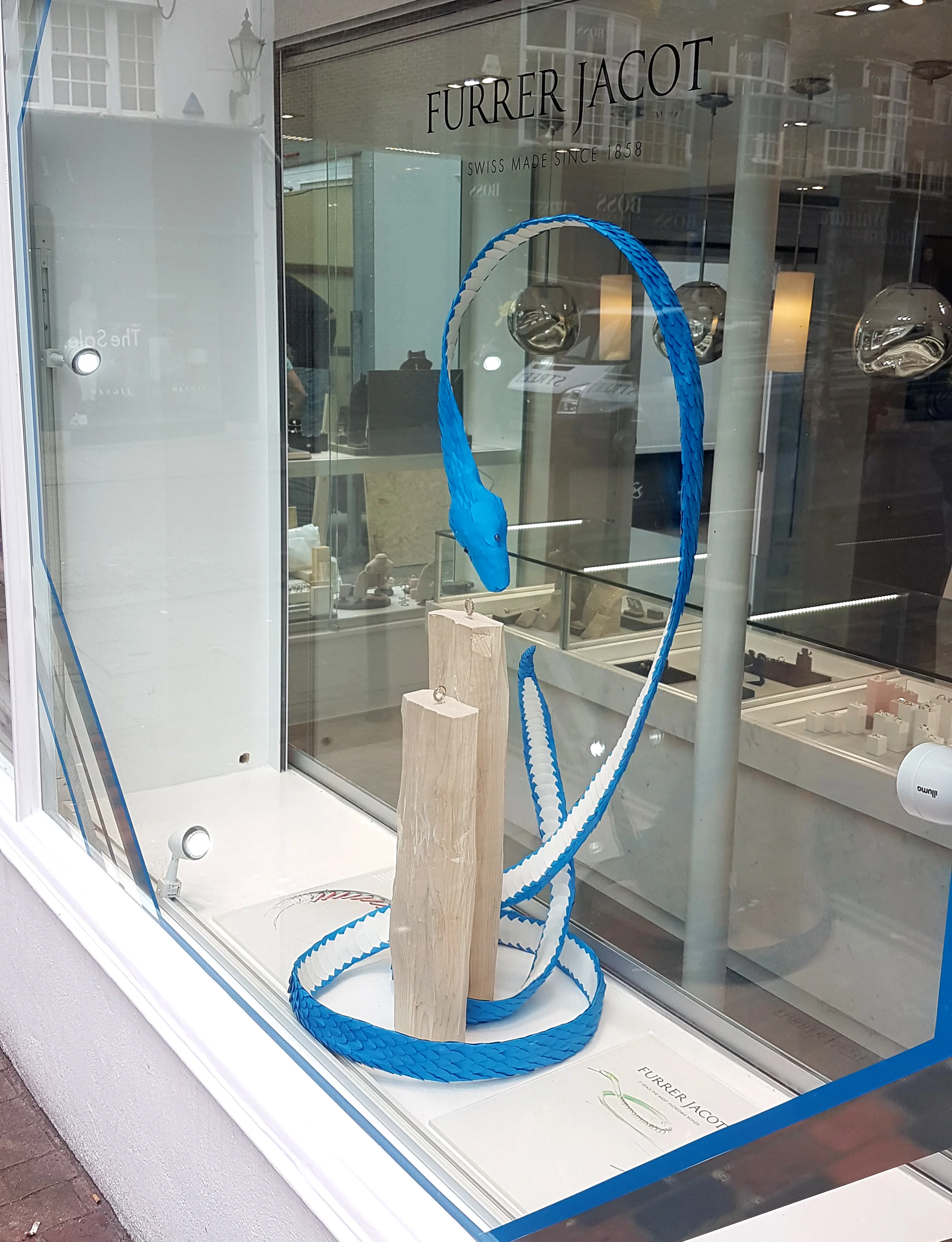 furrer jacot.jpg