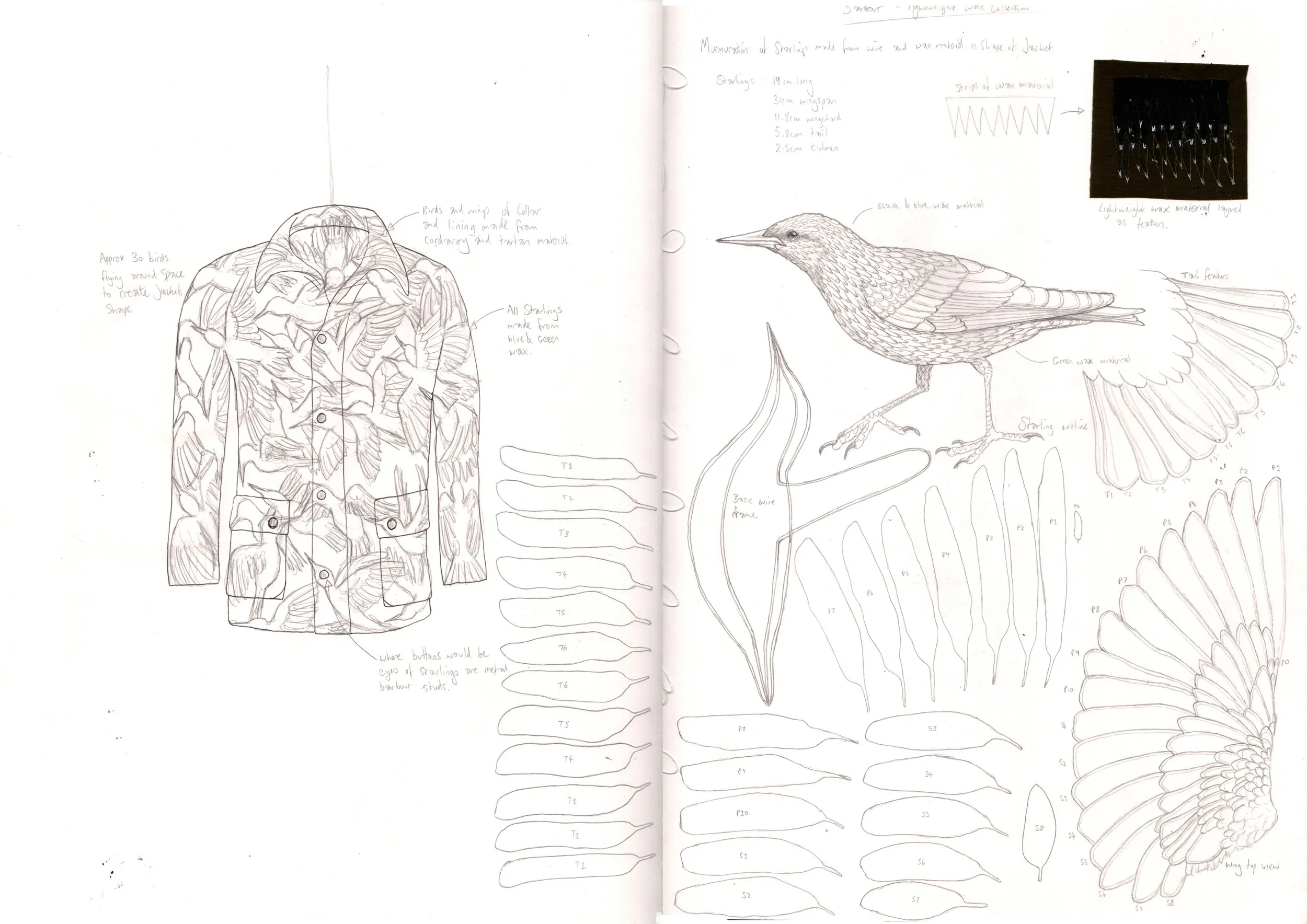 Barbour design rough.jpg