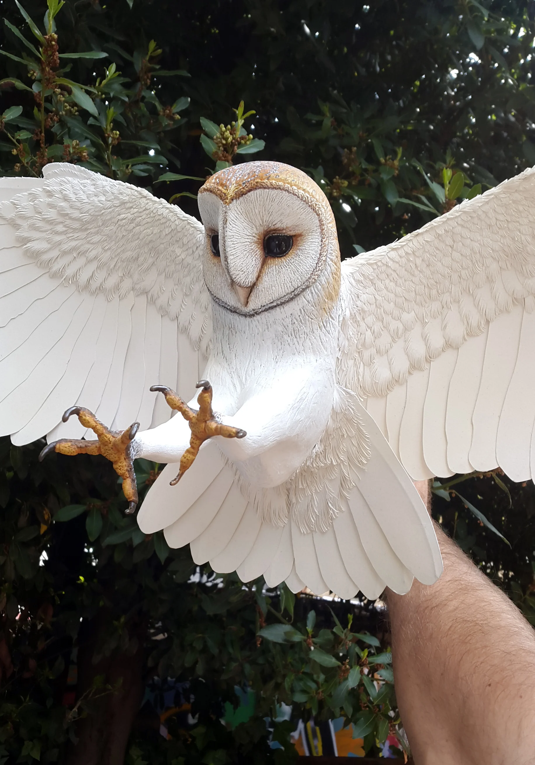 Barn owl carved4.jpg