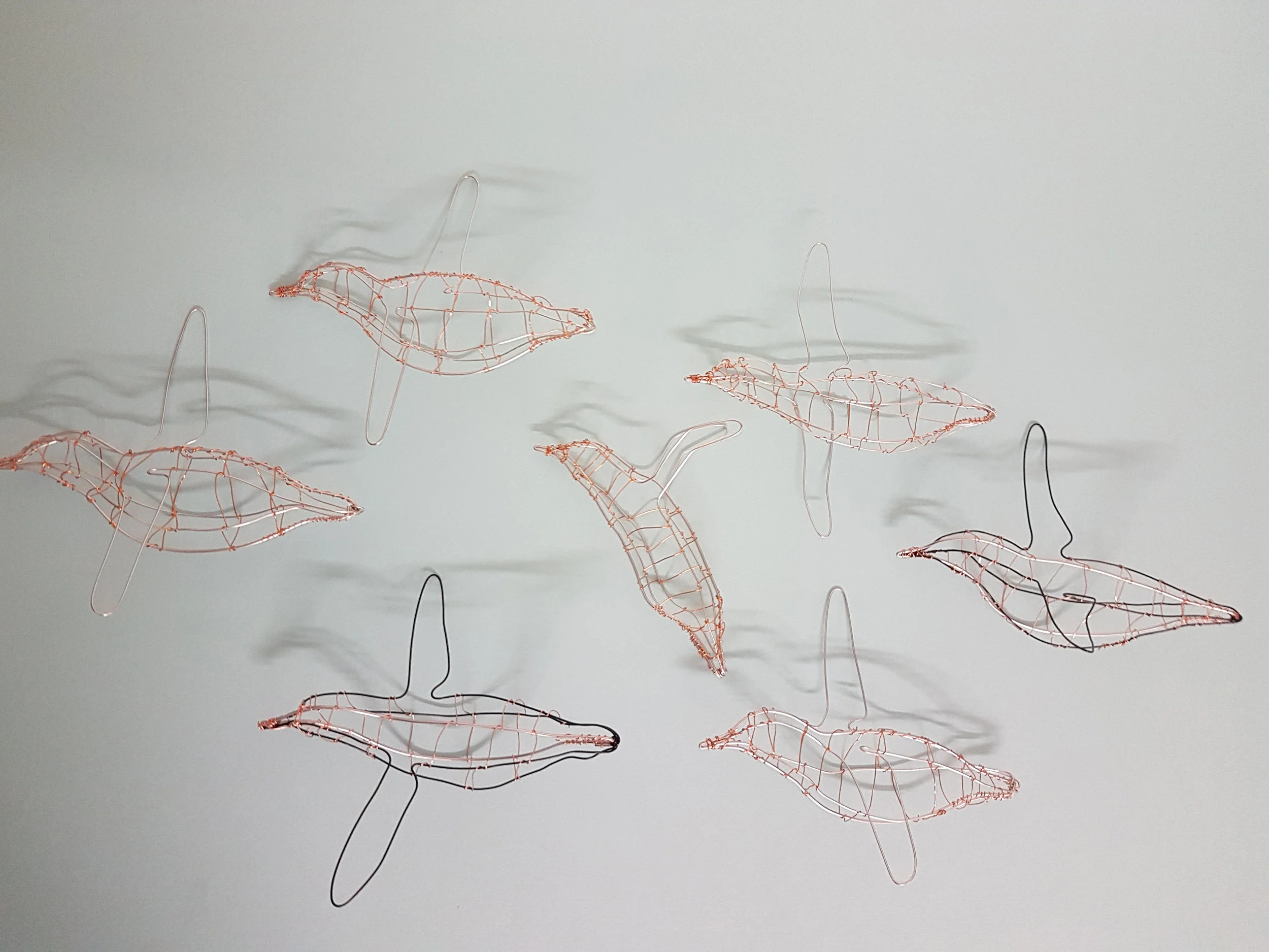 Then Zack went about hand cutting all the paper wing and tail feathers then attaching them to the frames to create all the bird's shapes in flight.