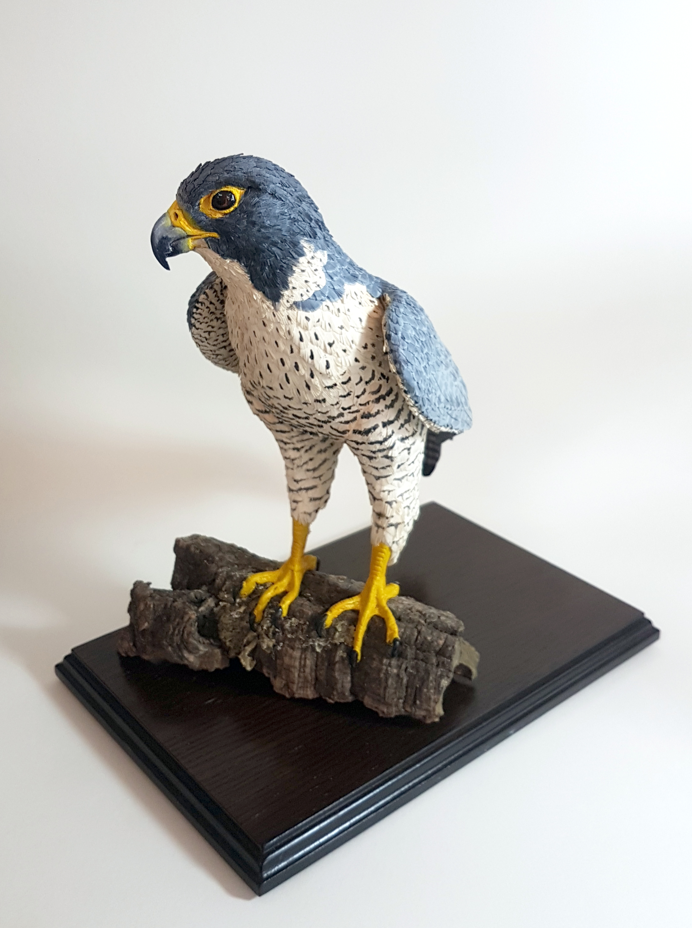 peregrine5.jpg