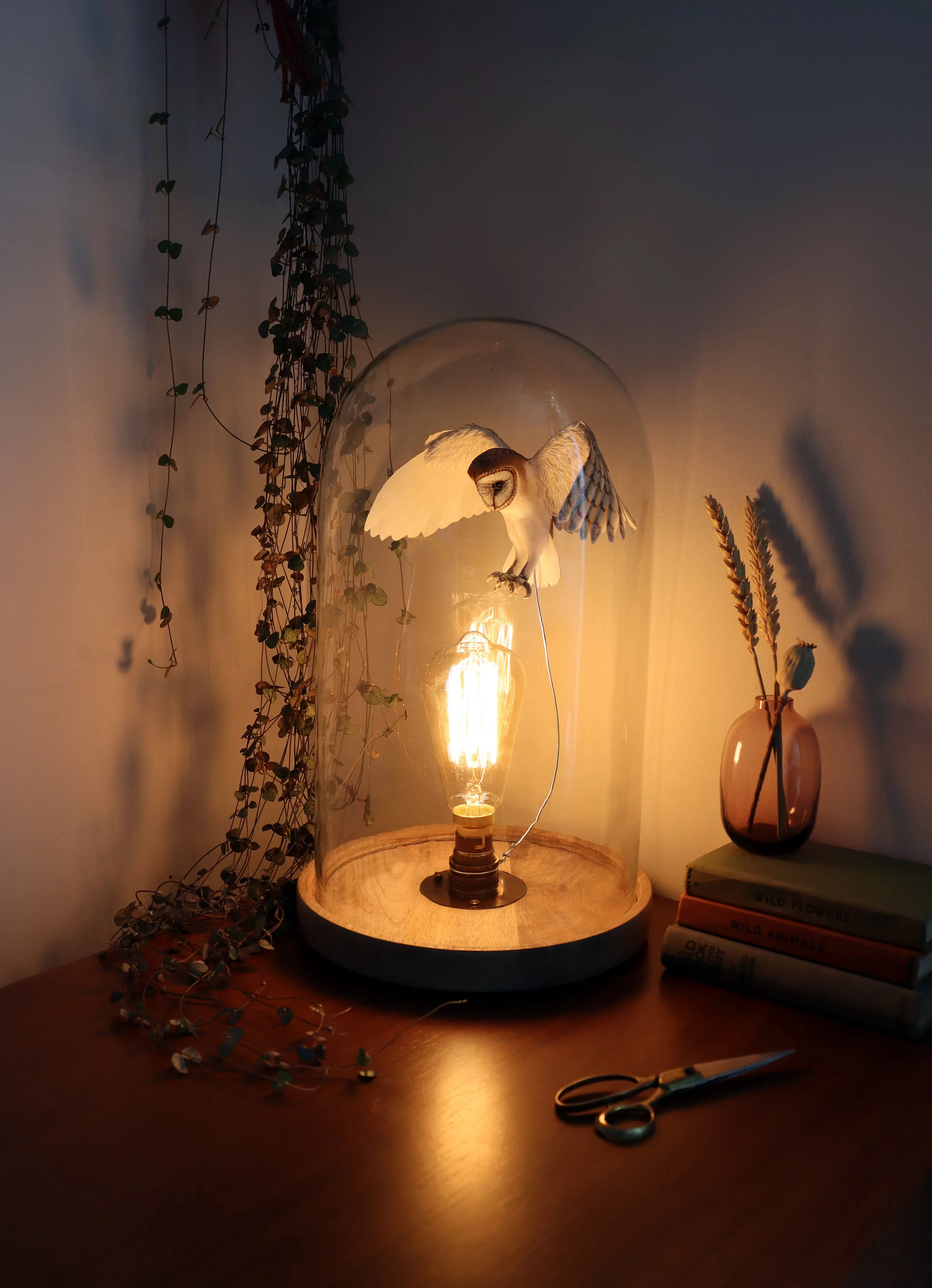 Barn owl bell jar night.jpg