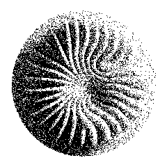 FERA_240.png