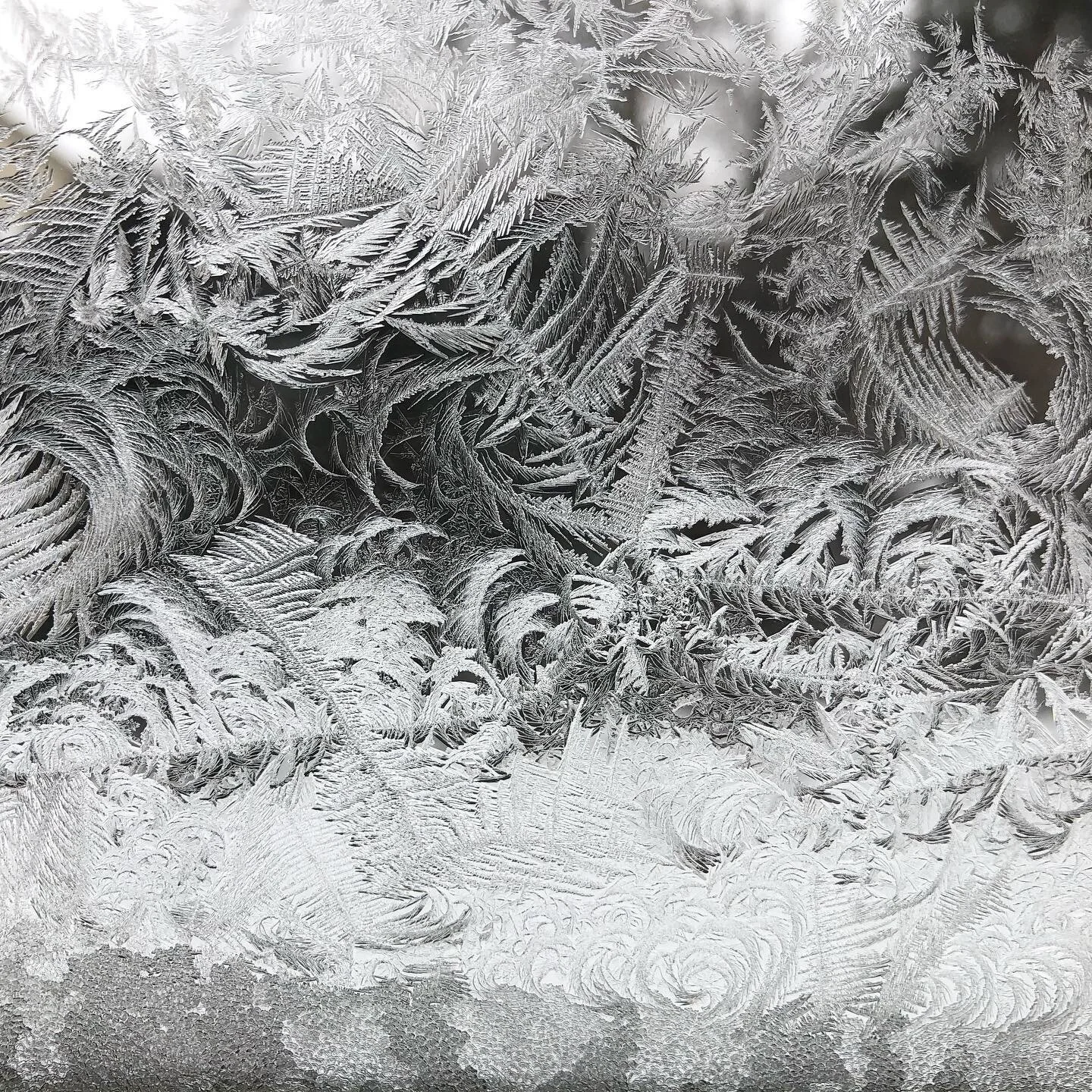 It&rsquo;s gorgeous. And it&rsquo;s the extreme cold that created it on our old windows in the house!  Art is everywhere. #chicagowinter