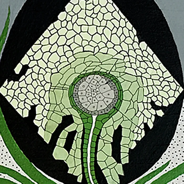 thumb_art_photosynthesystem.jpg