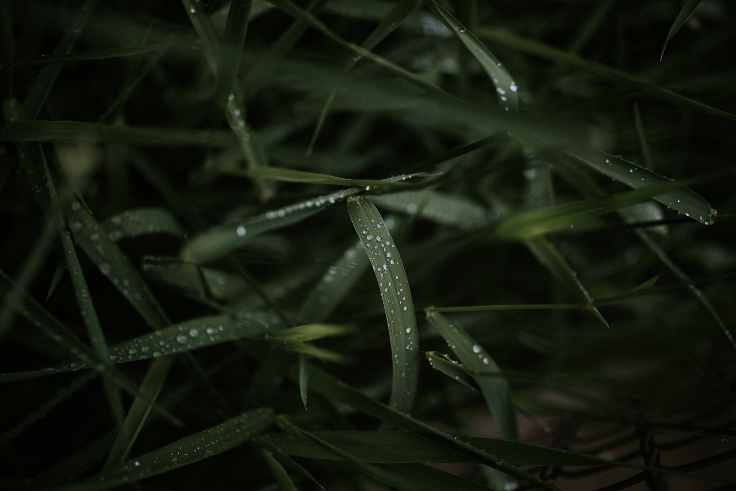 209A0119.jpg