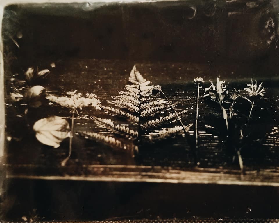 37687873_10156632913929744_1249910443200217088_n.jpg
