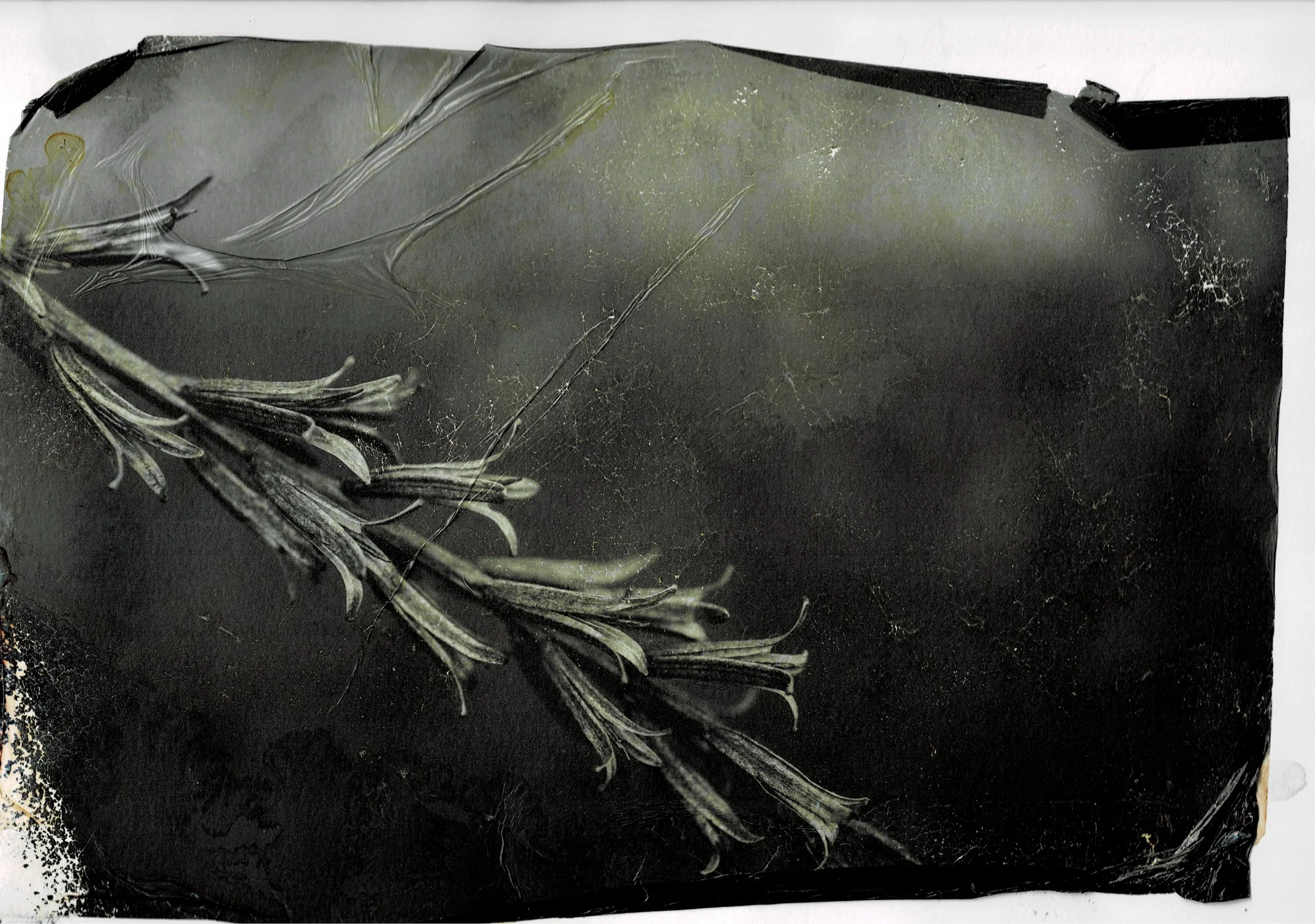 Scan03072022201223_001.jpg