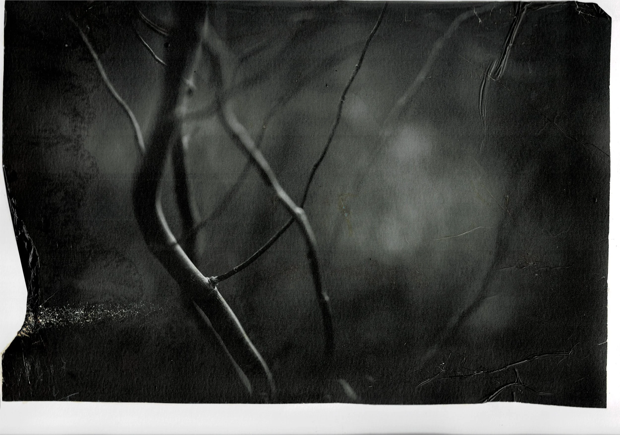 Scan03072022201302_001.jpg