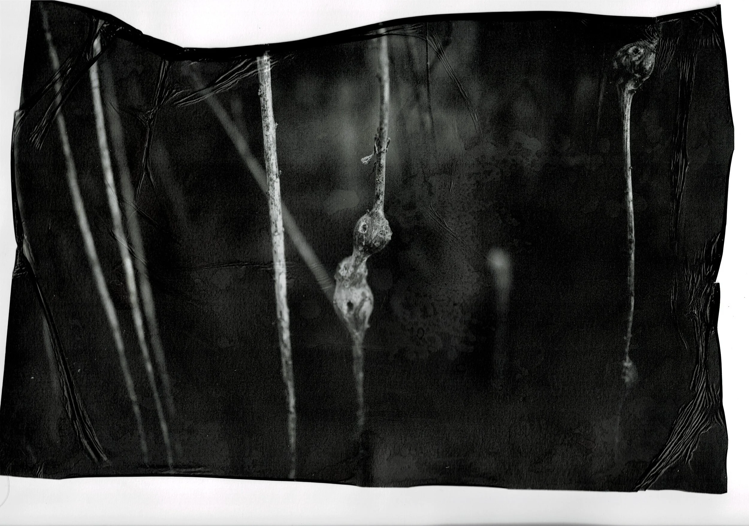 Scan03072022200929_001.jpg