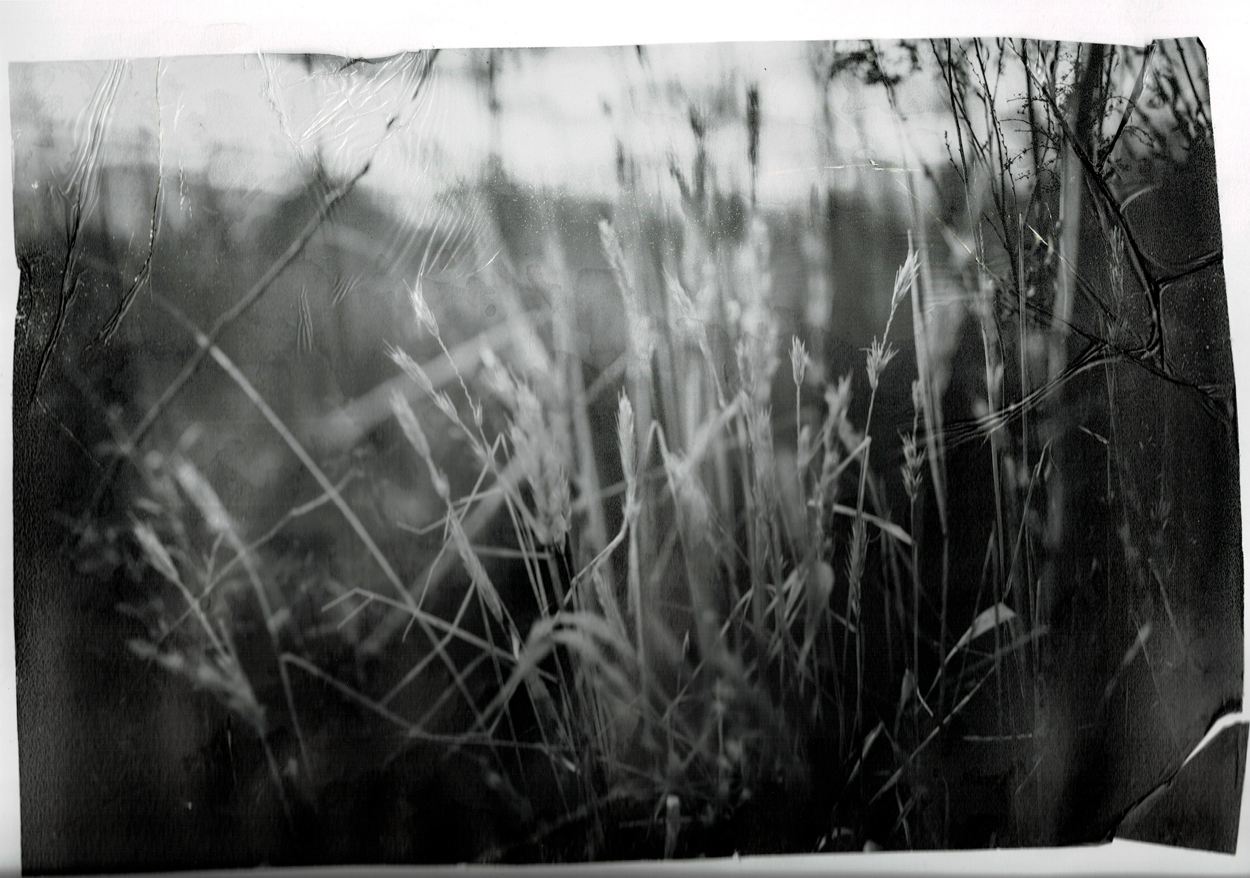 Scan03072022125938_001.jpg