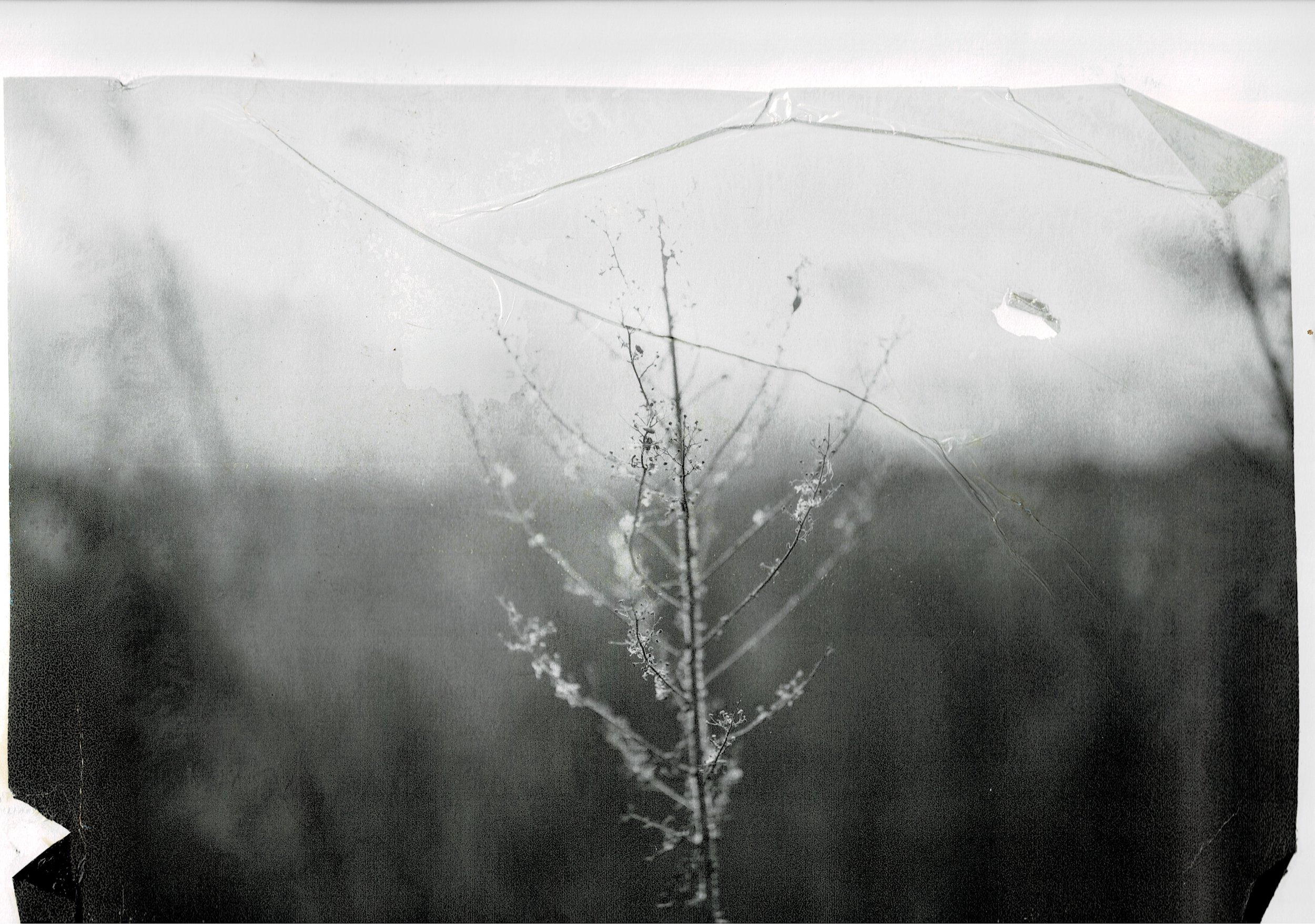 Scan03072022195416_001.jpg