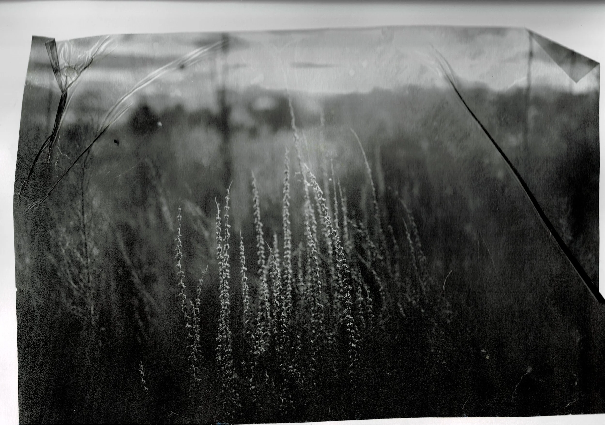 Scan03072022125554_001.jpg