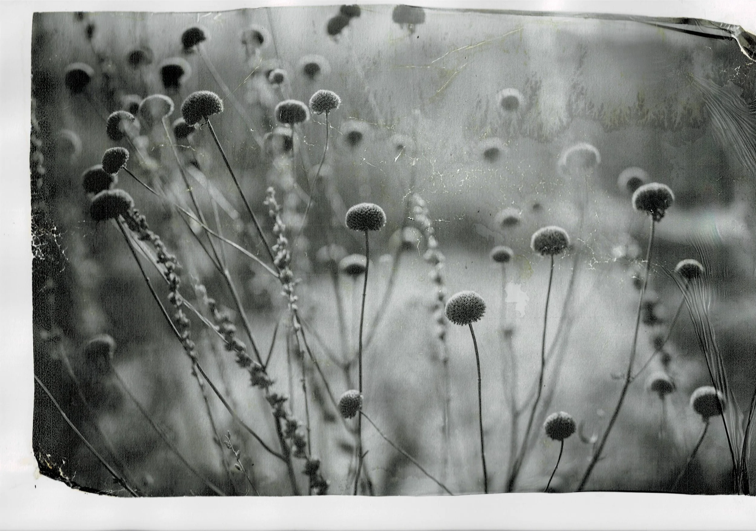 Scan03072022195946_001.jpg