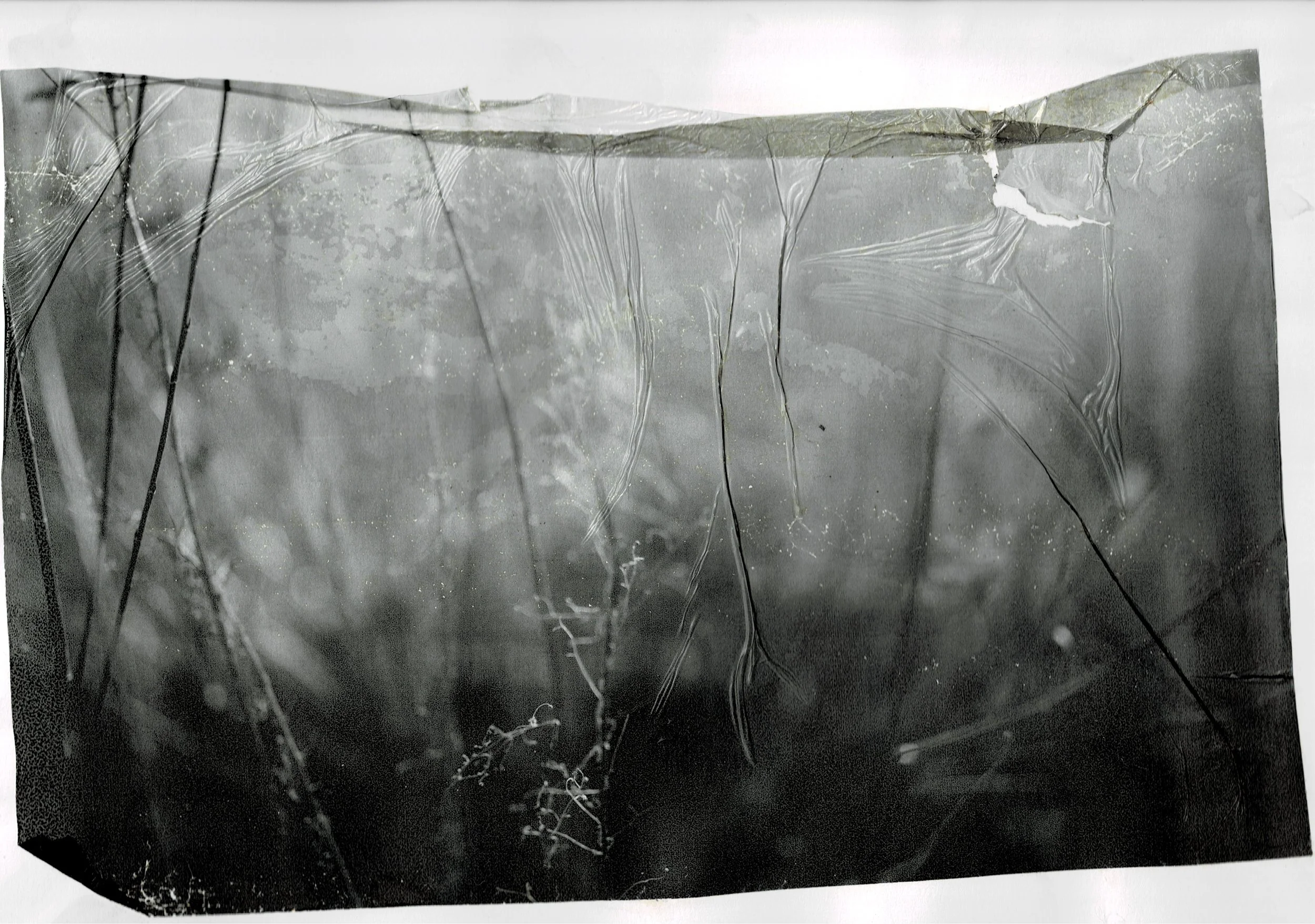 Scan03072022195456_001.jpg