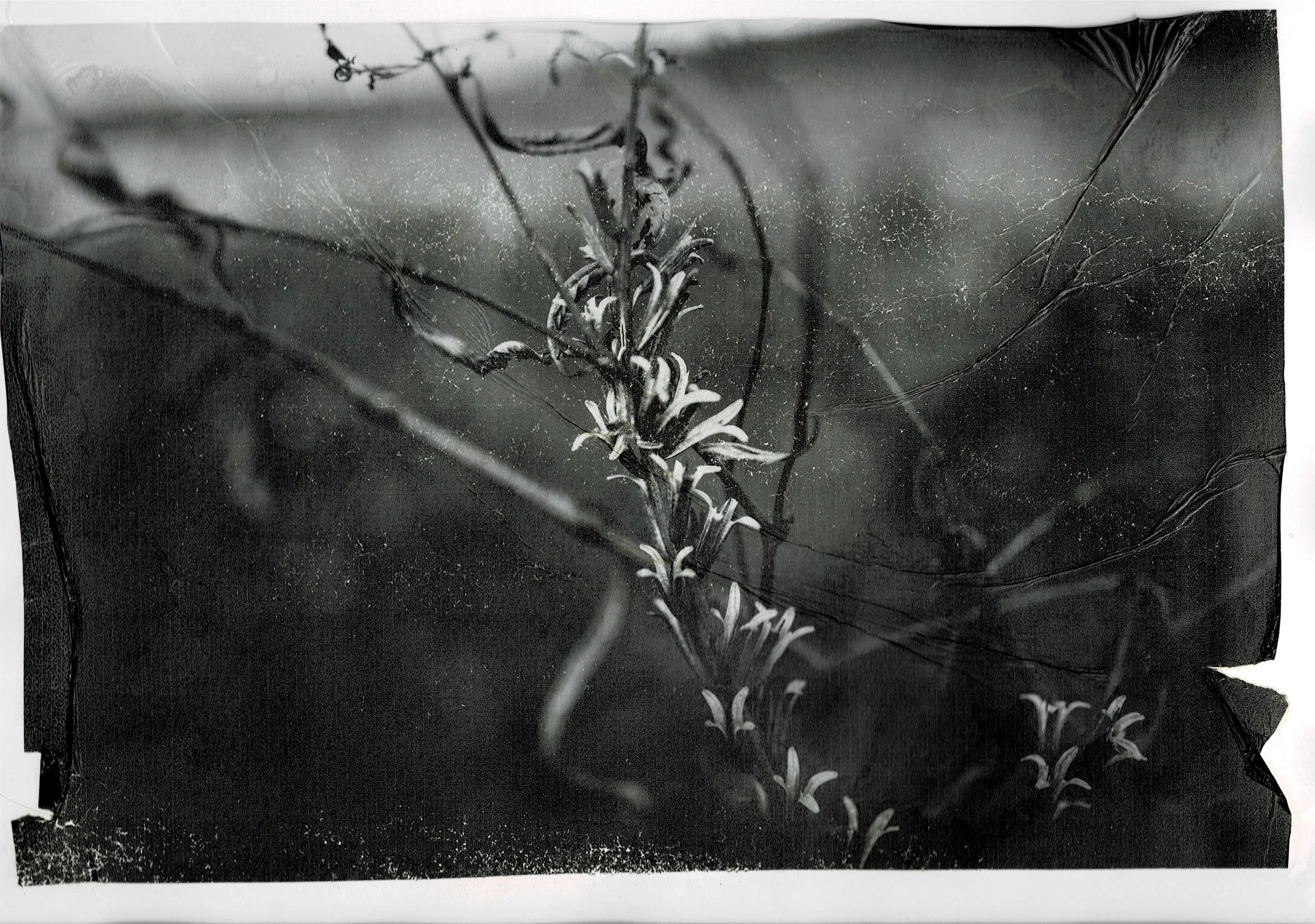 Scan03072022195747_001.jpg