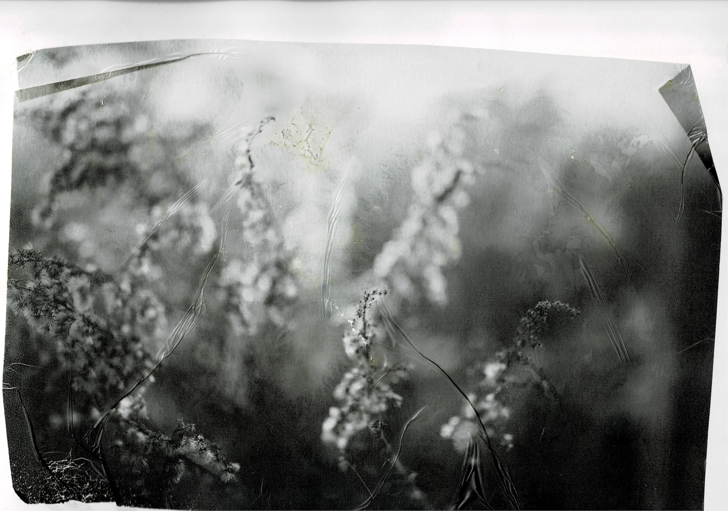 Scan03072022125056_001.jpg