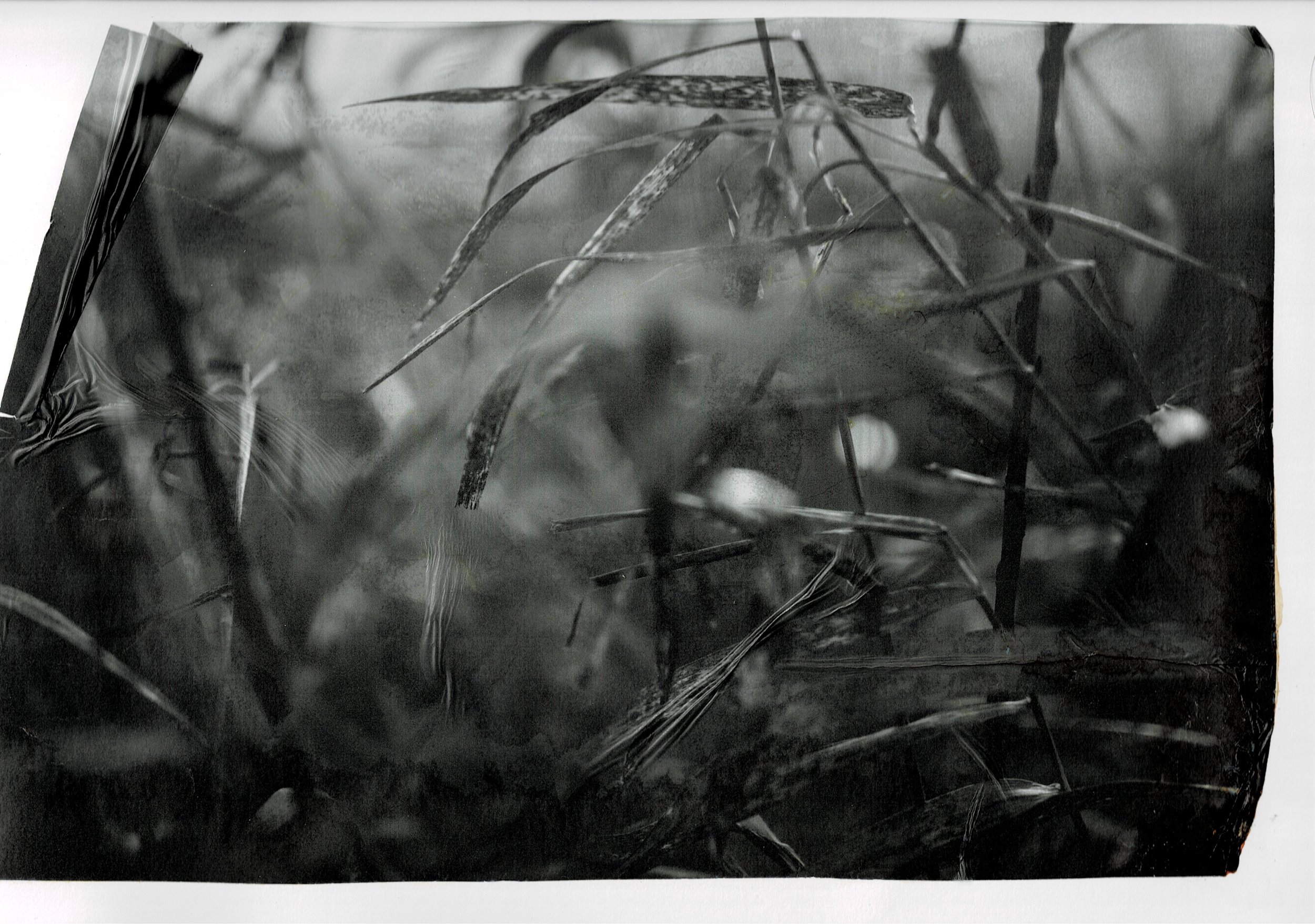 Scan03072022125226_001.jpg