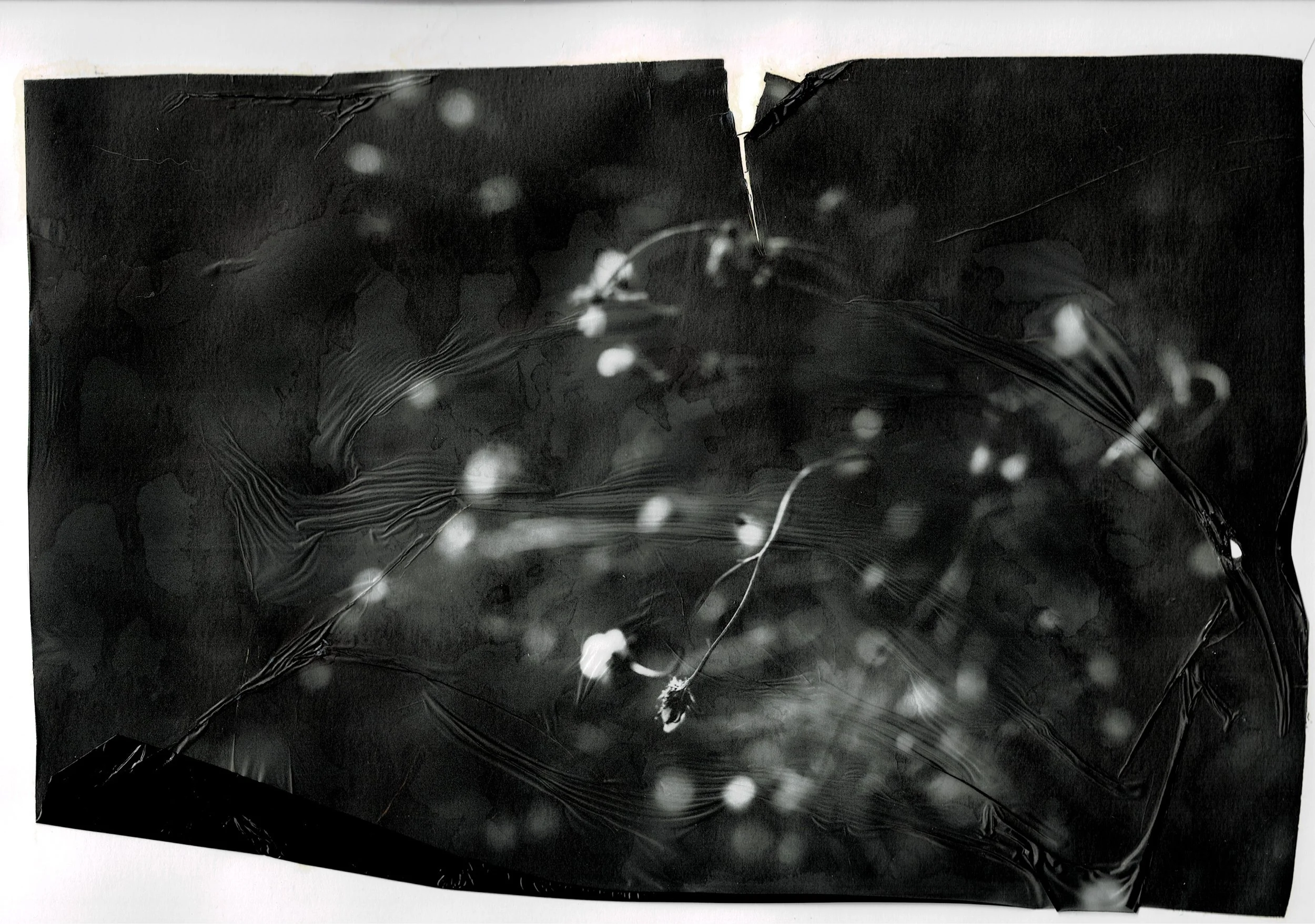Scan03072022125134_001.jpg