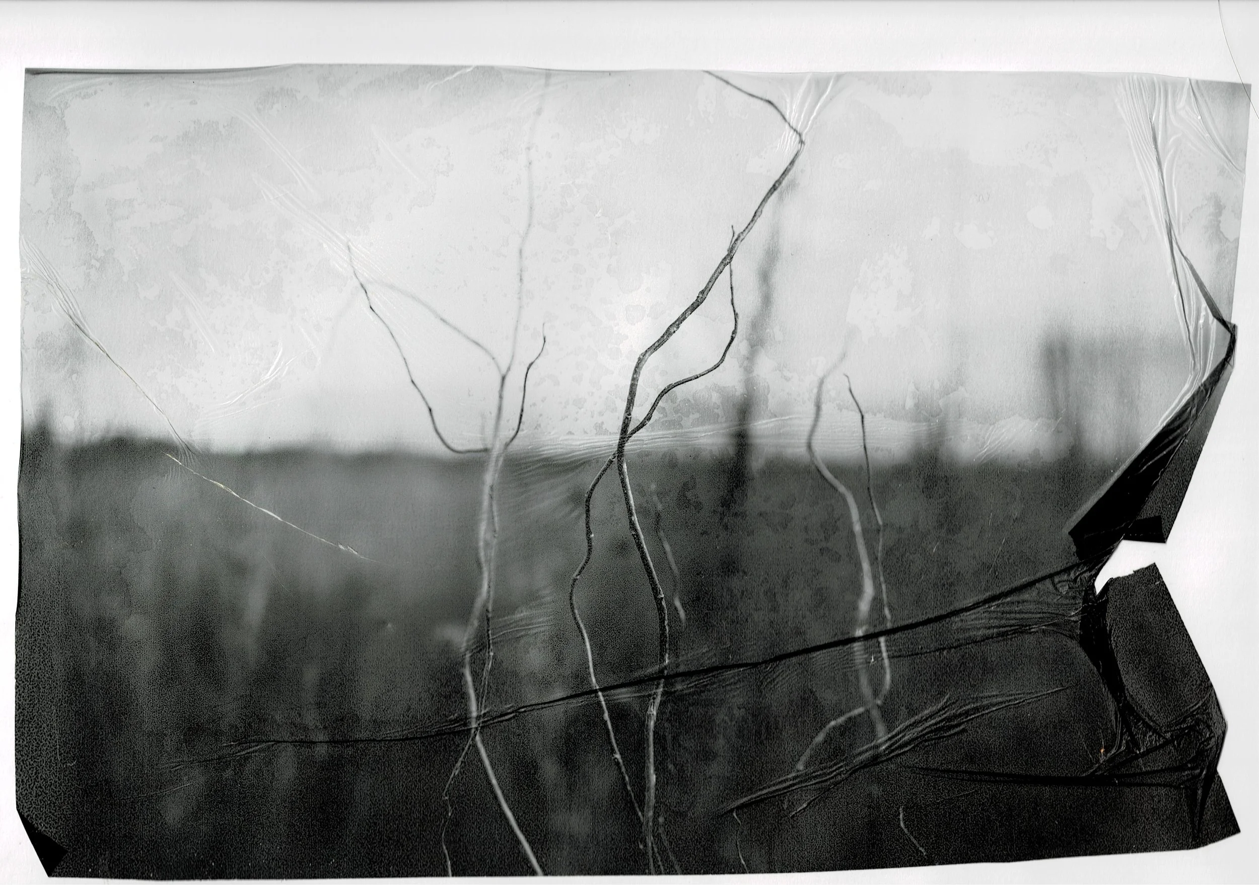 Scan03072022124922_001.jpg