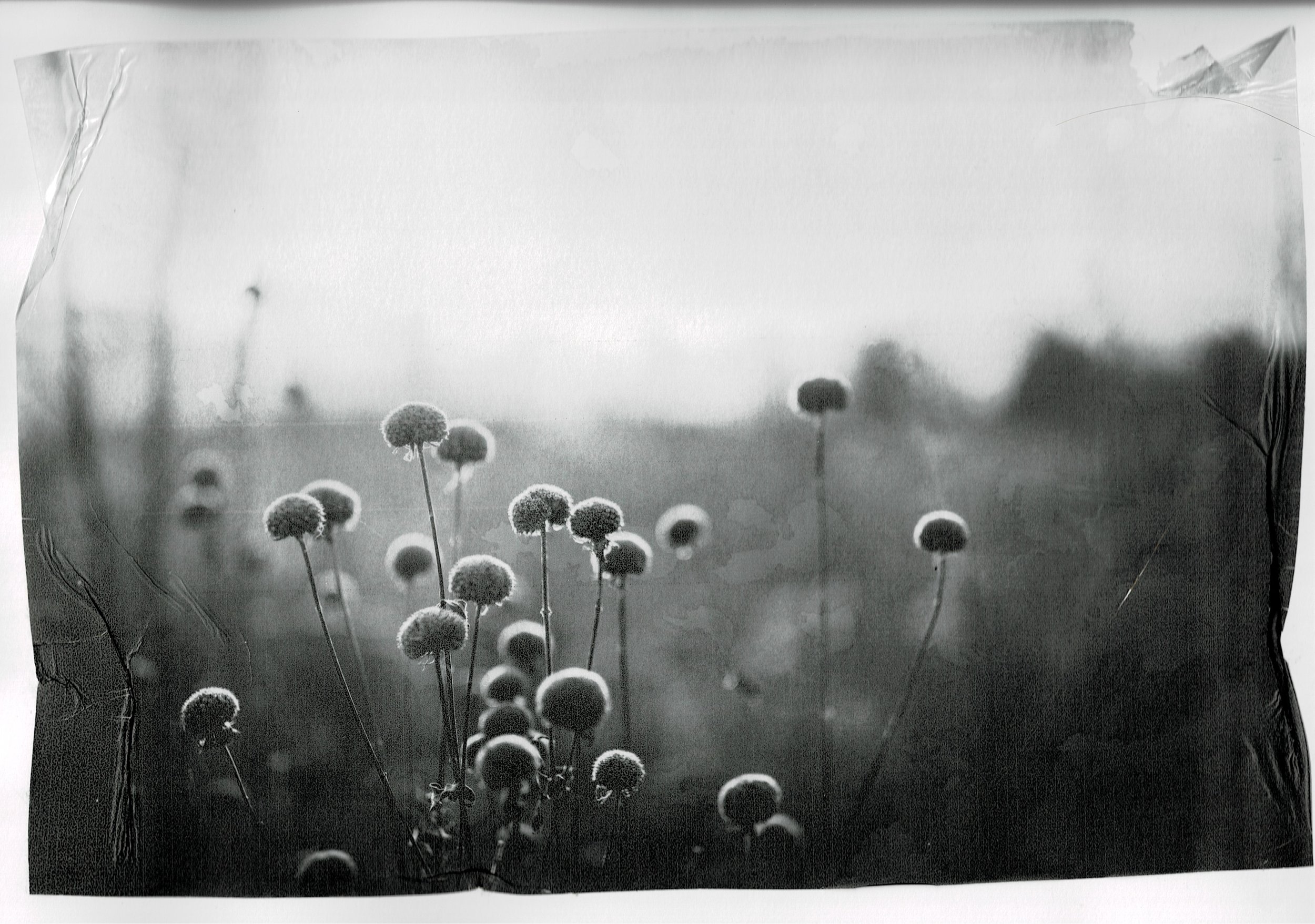 Scan03072022095000_001.jpg