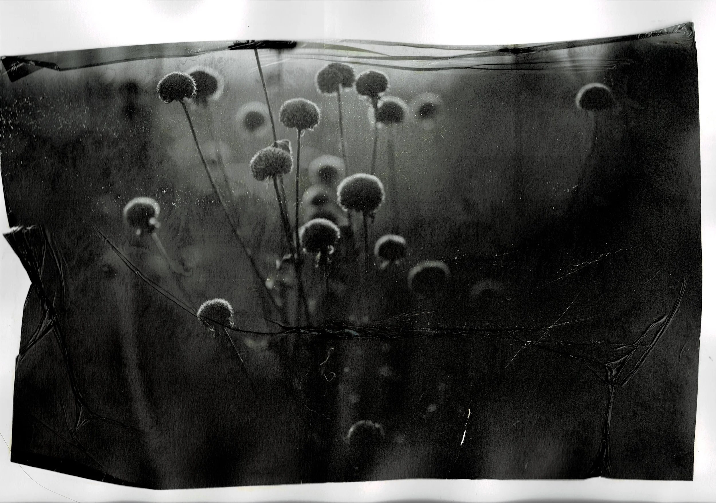 Scan03072022093840_001.jpg