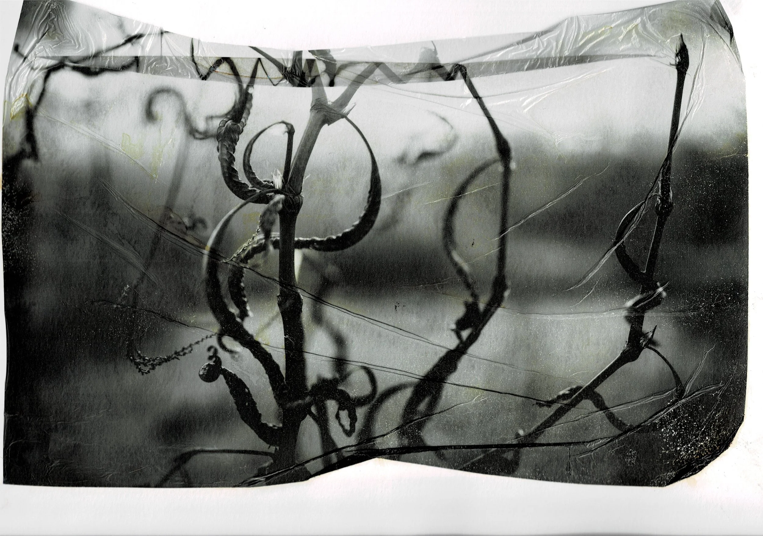 Scan03072022094657_001.jpg