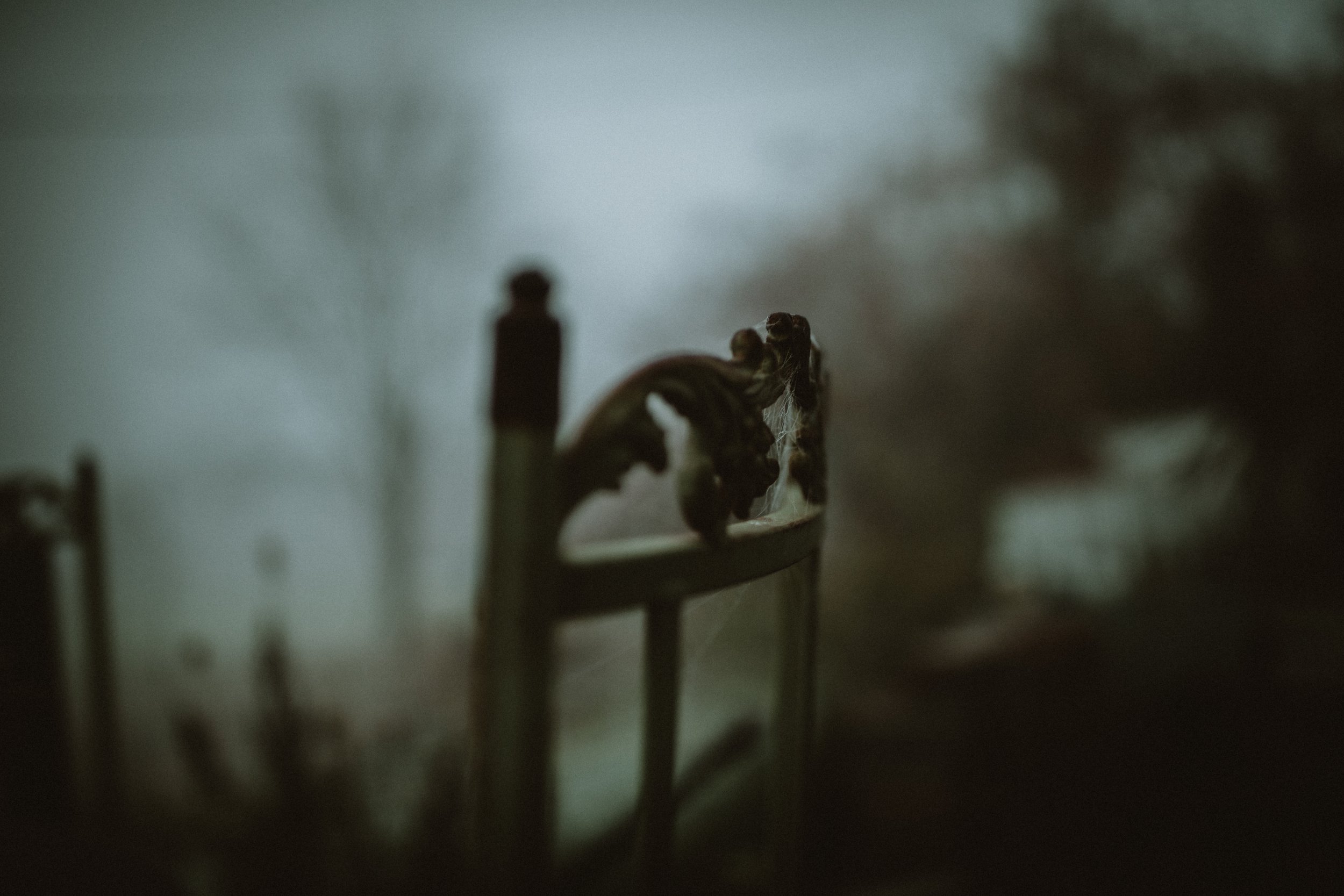 209A7016.jpg