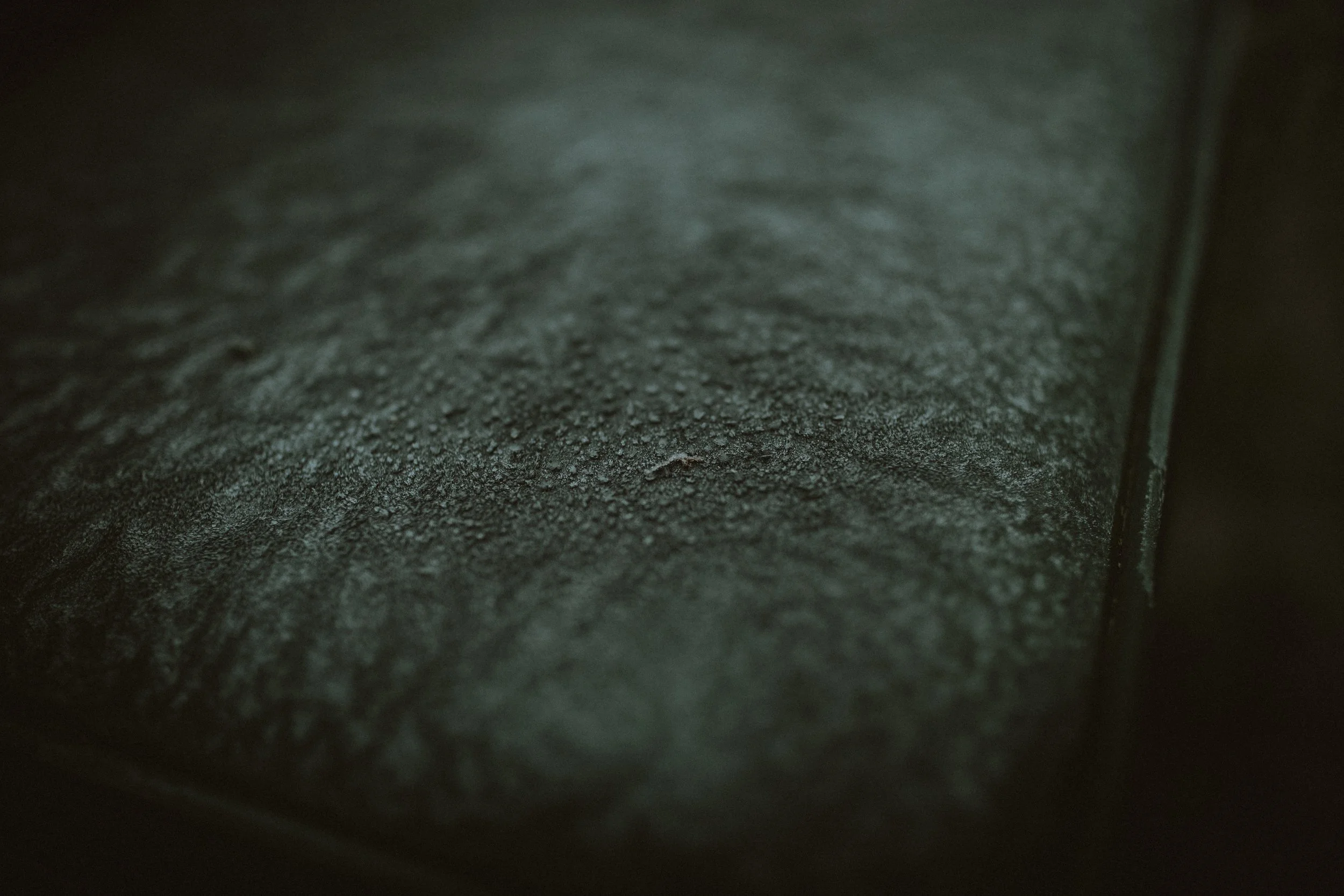 209A7003.jpg