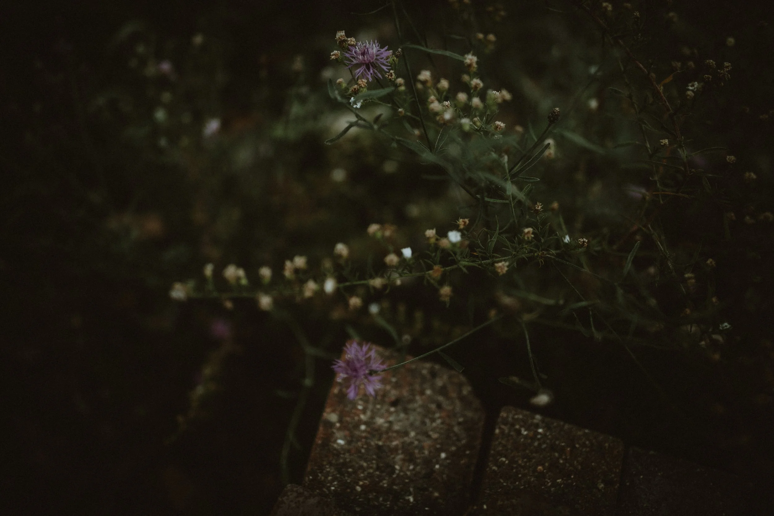 209A7020.jpg