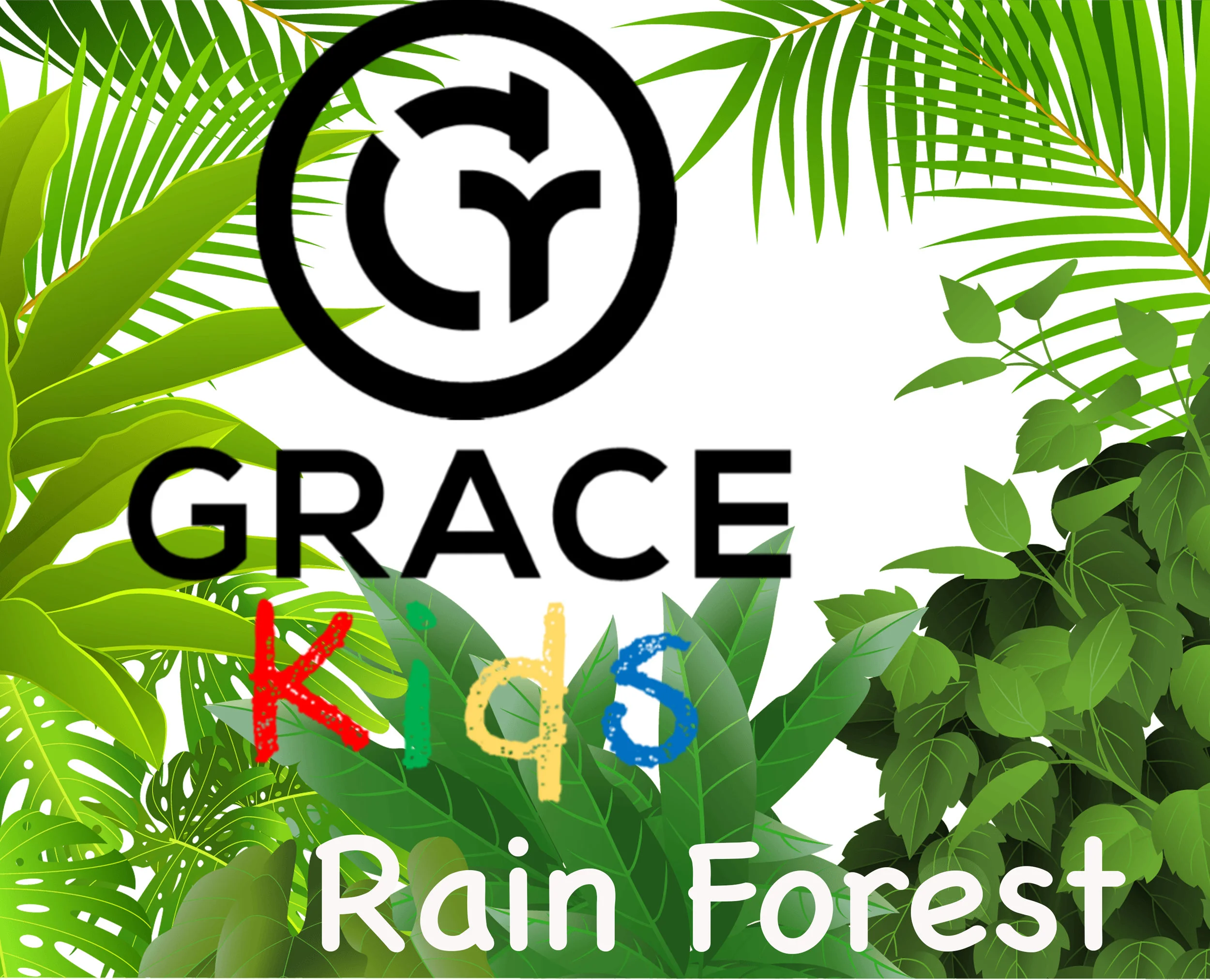 Rain Forest.jpg