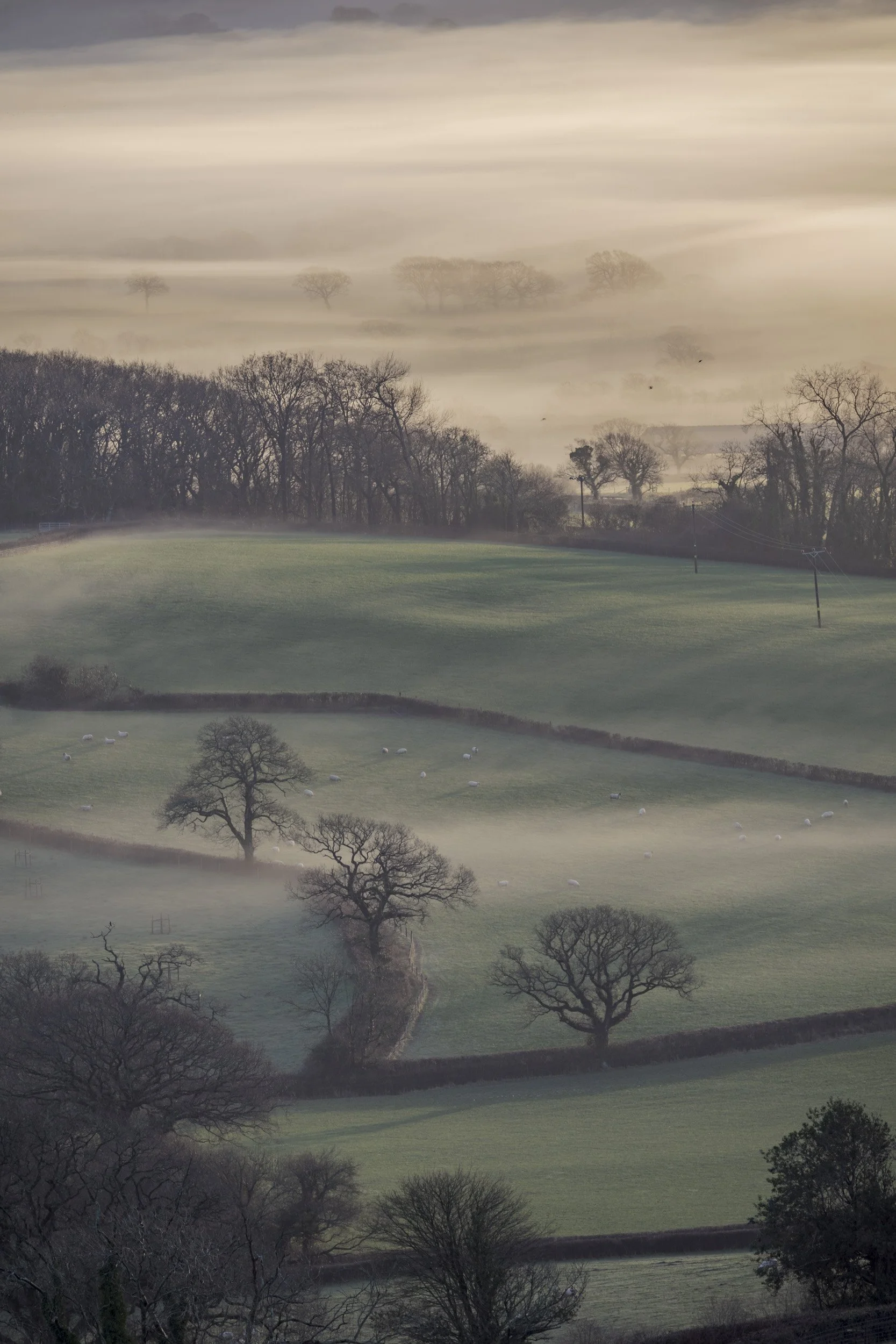 Whitchurch Canonicorum Mist-5.jpg