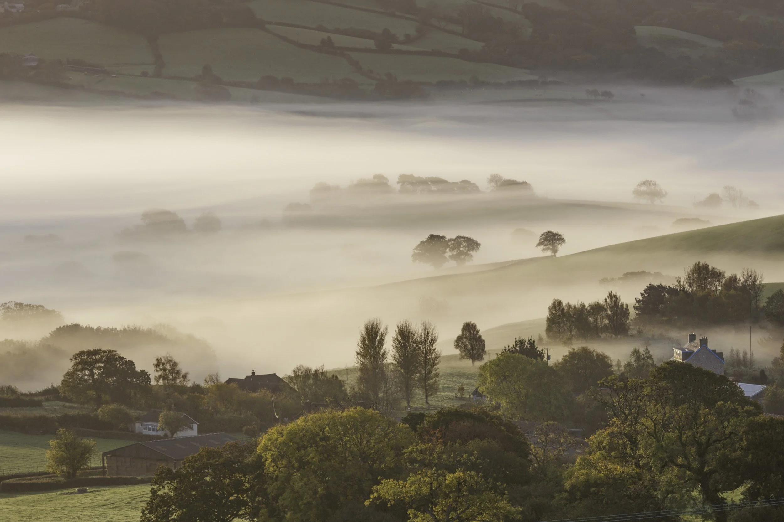Autumn Mist- West Dorset