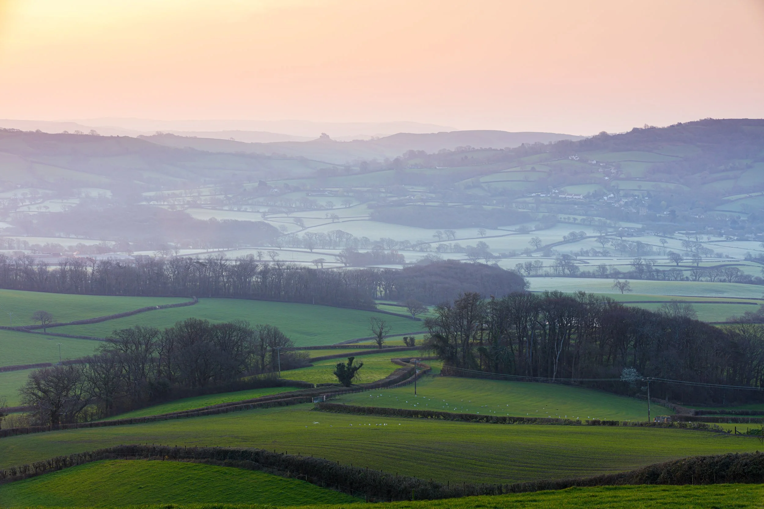 Marshwood Vale.jpg