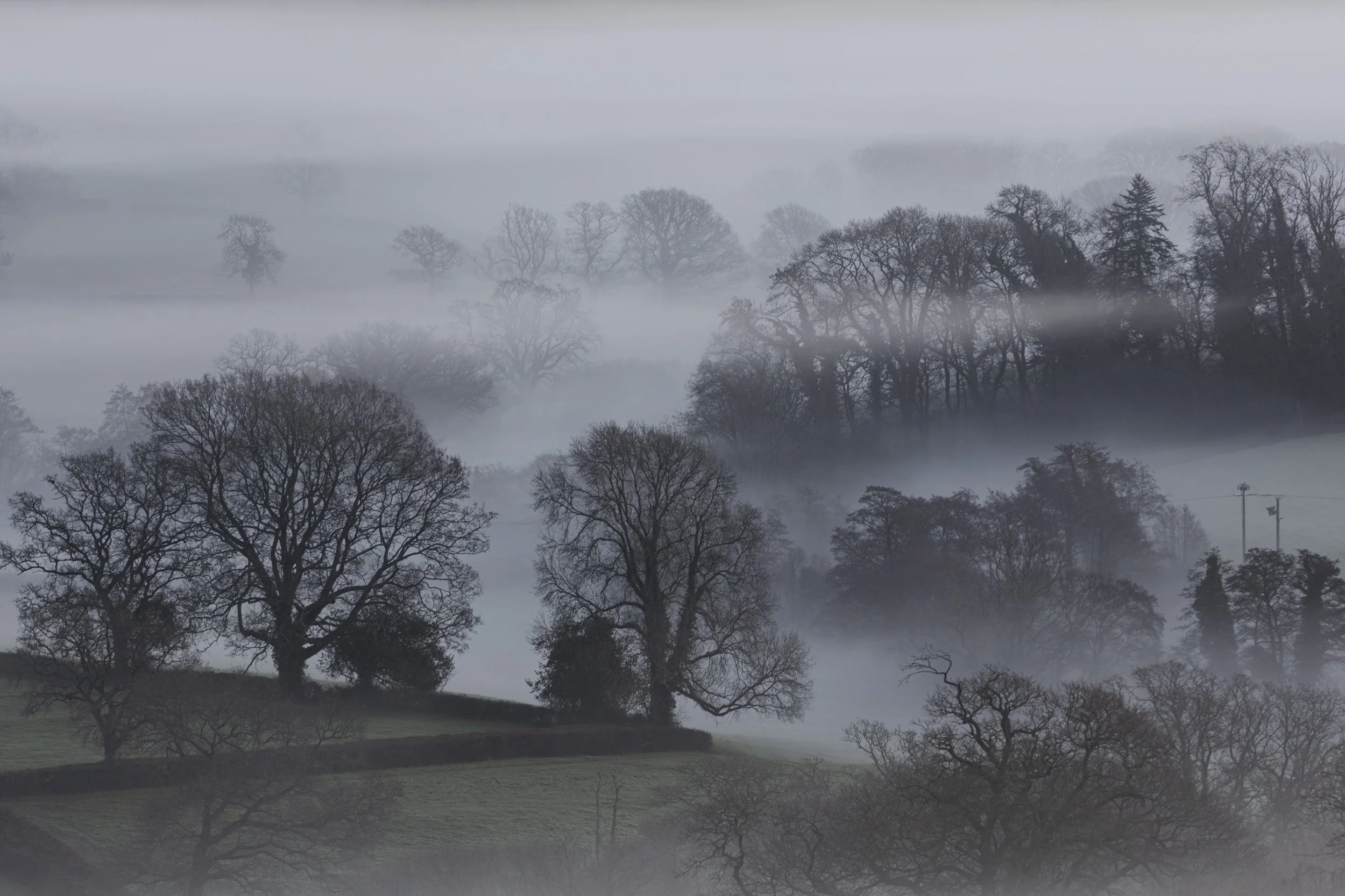 Wotton Fitzpaine Mist-2.jpg