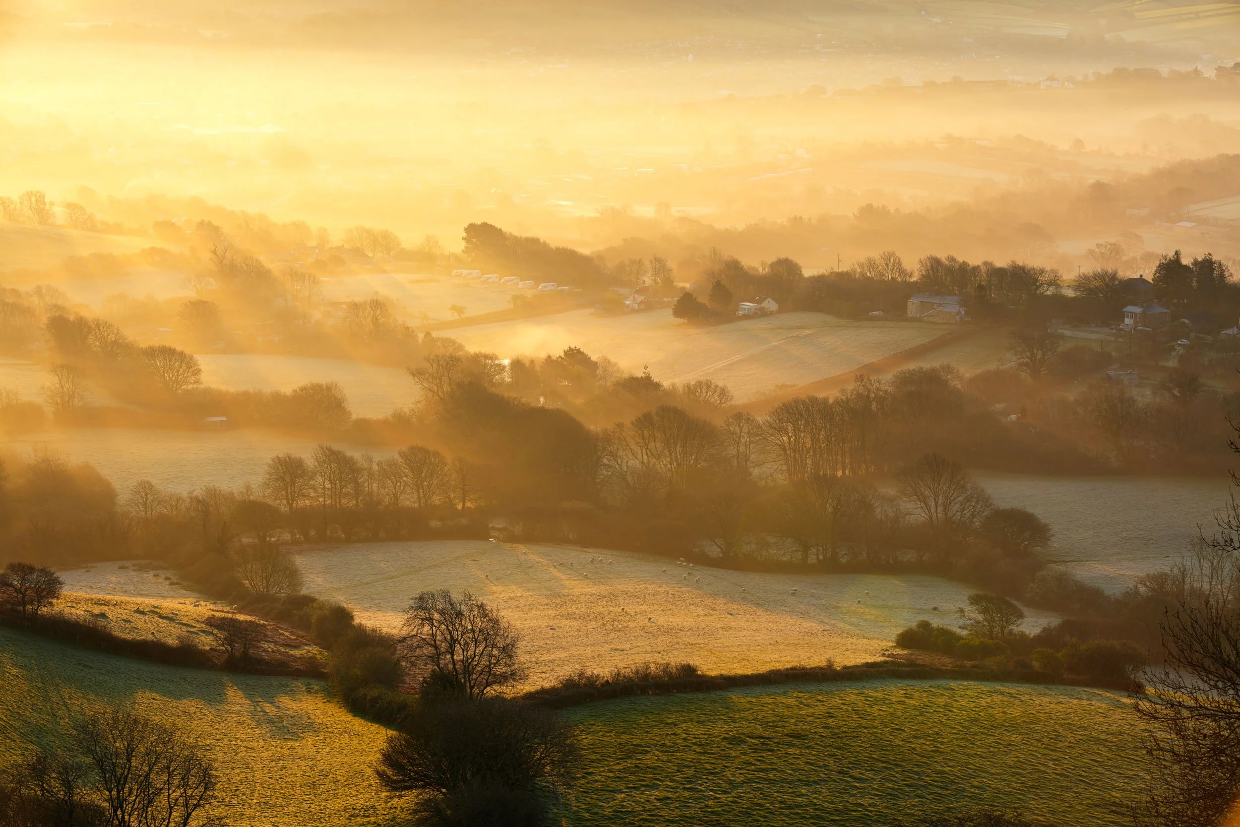 Dawn Mist. Bridport.